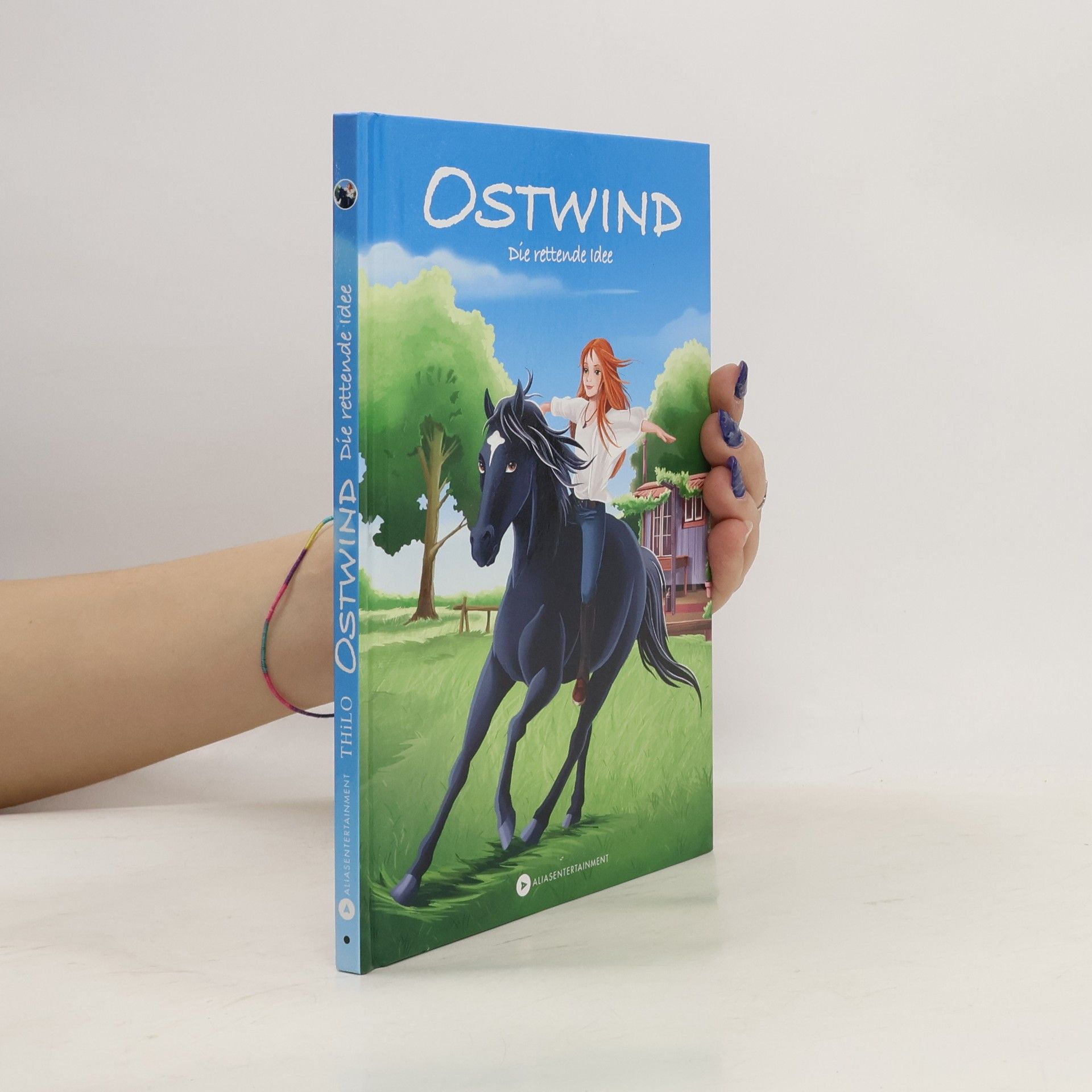 Thilo Petry-Lassak Ostwind - die rettende Idee
