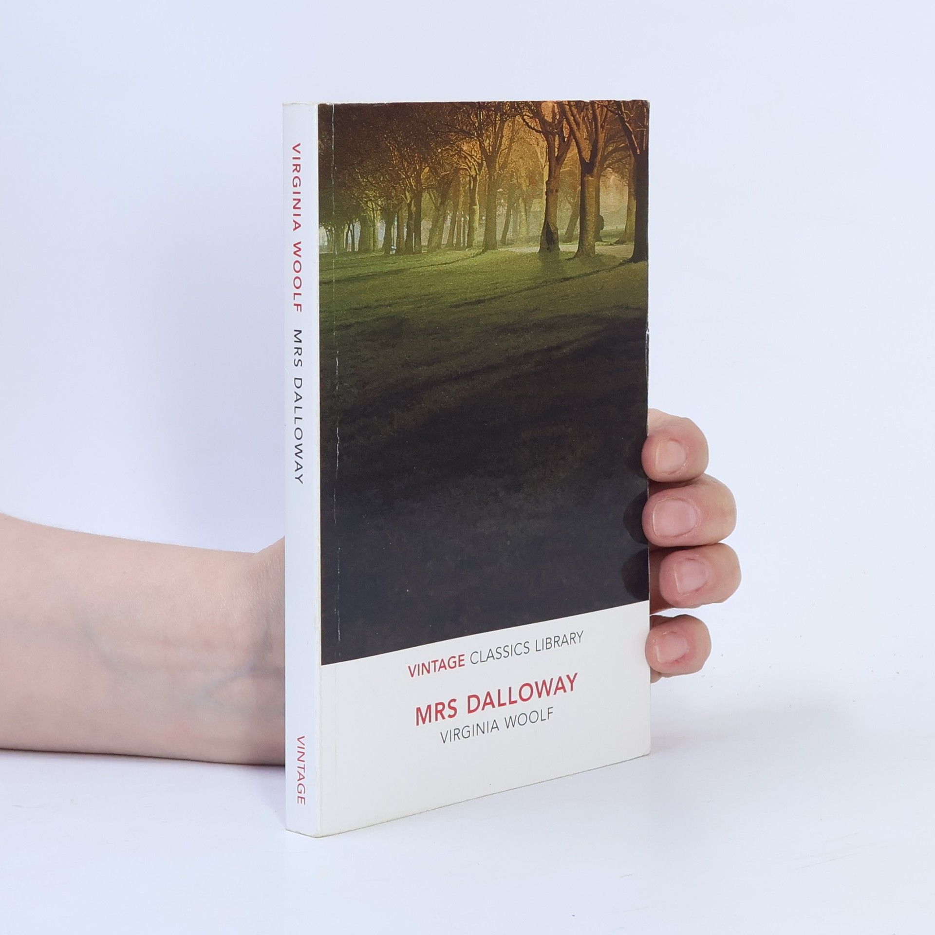 Virginia Woolf Mrs Dalloway