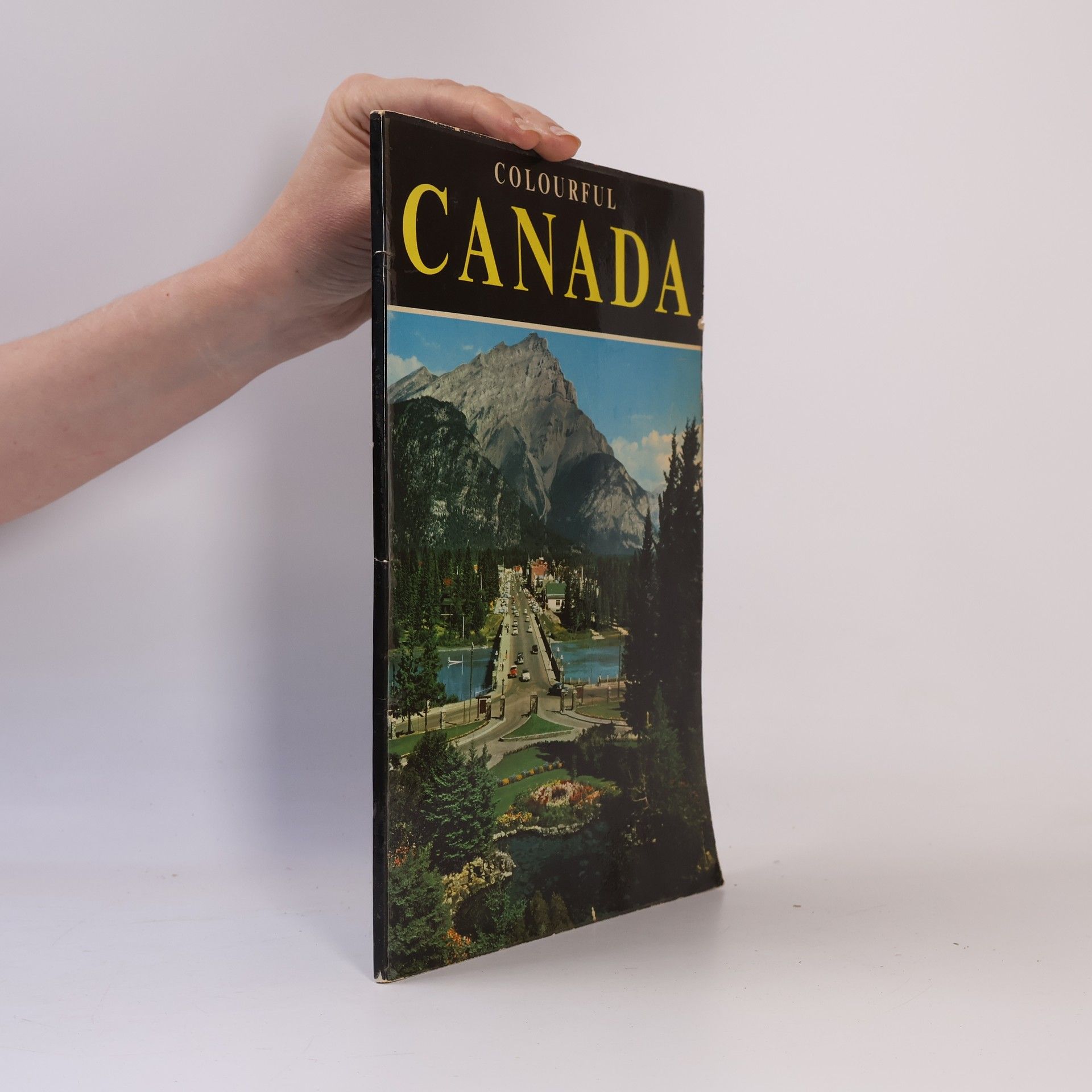 Kenneth McNeill Wells Colourful Canada