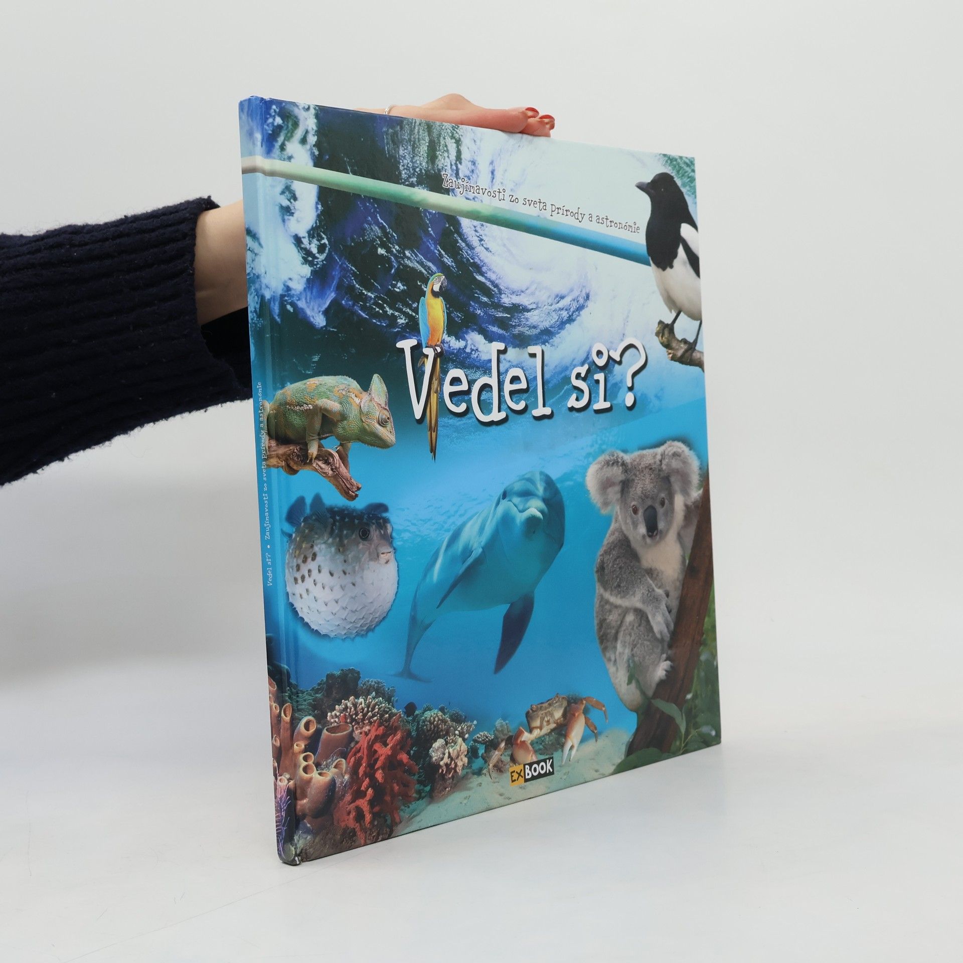 Autorenkollektiv Vedel si?