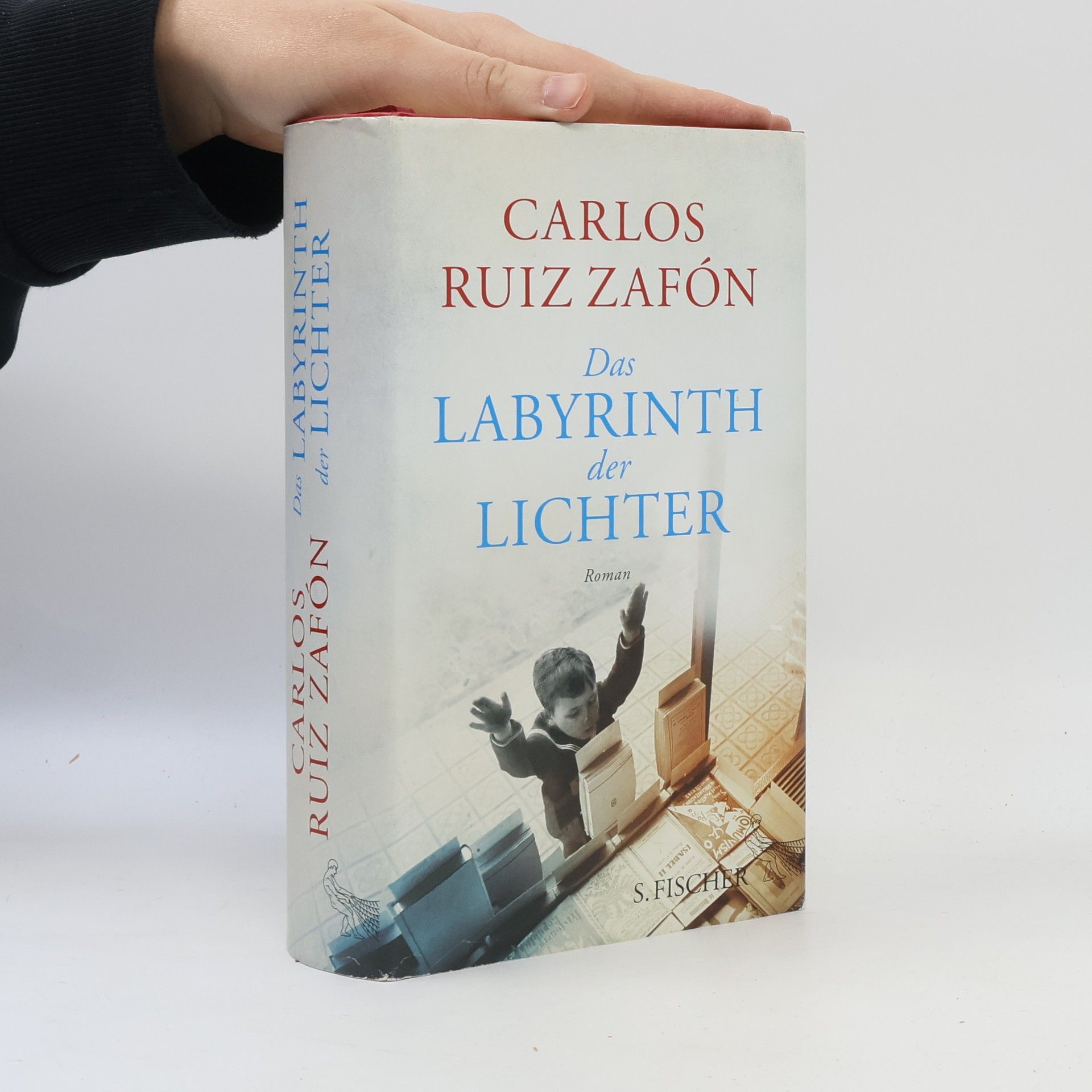 Carlos Ruiz Zafón Das Labyrinth der Lichter