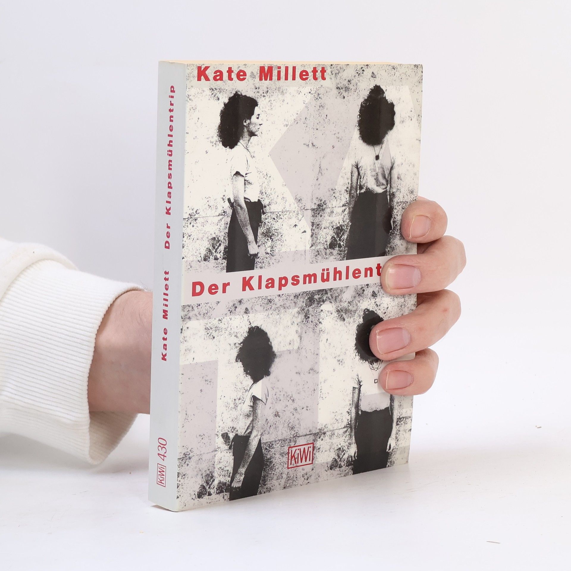 Kate Millett Der Klapsmühlentrip