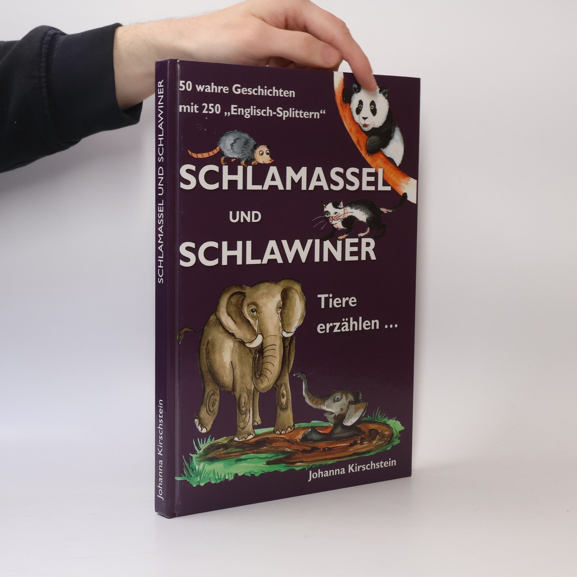 Johanna Kirschstein Schlamassel und Schlawiner