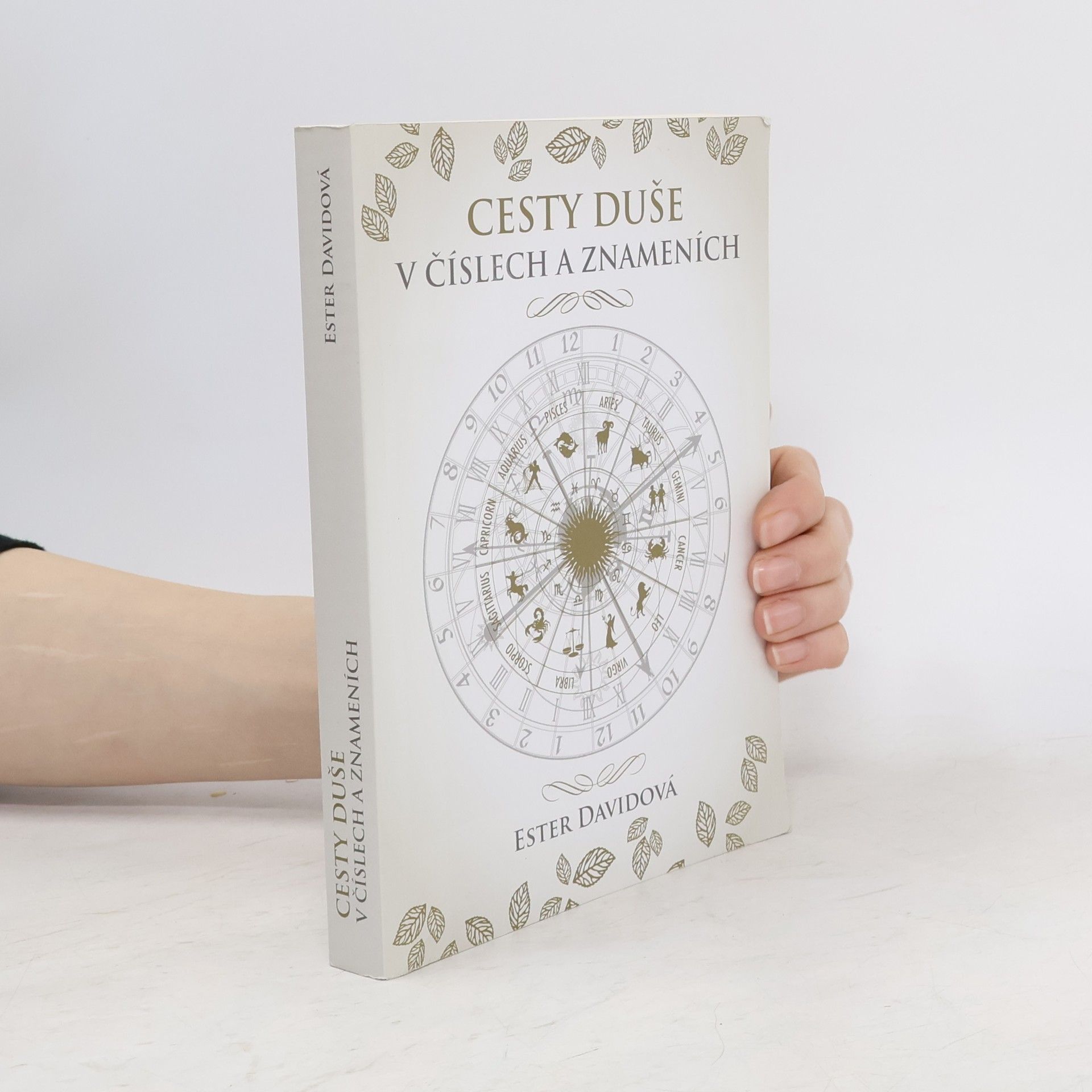 Ester Davidová Cesty duše v číslech a znameních