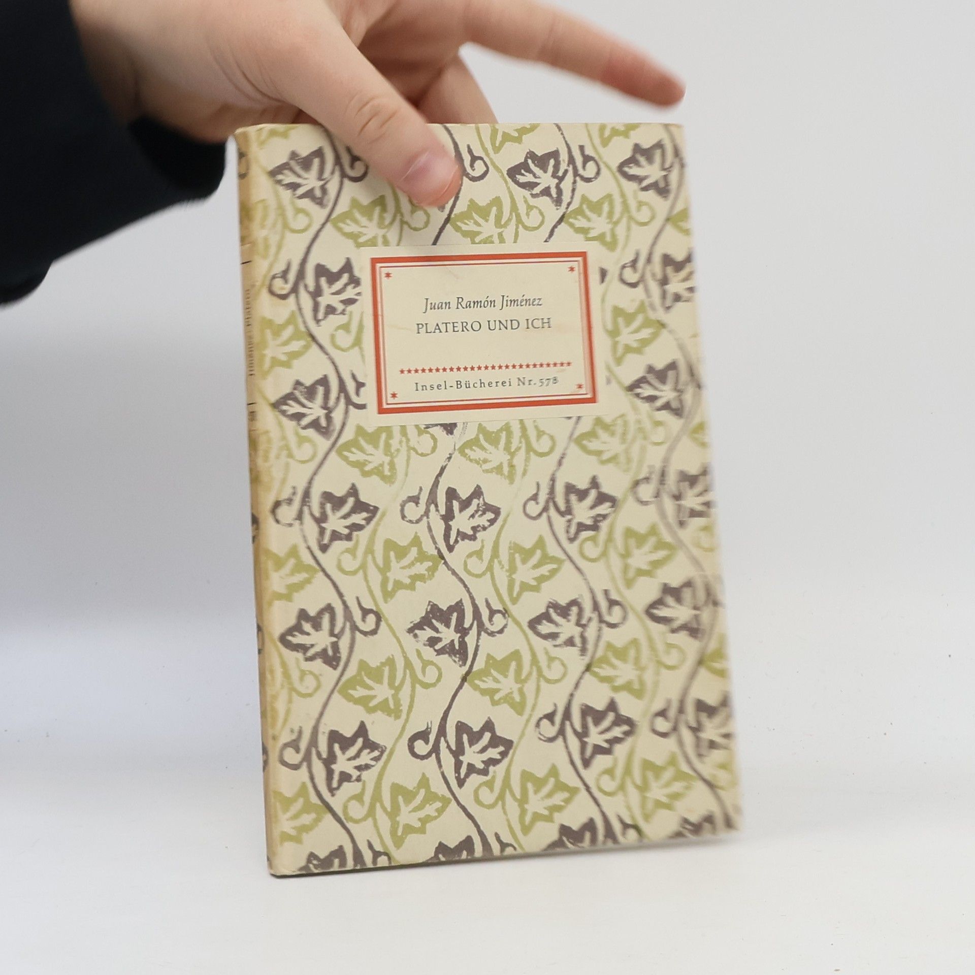 Juan Ramón Jiménez Platero und Ich