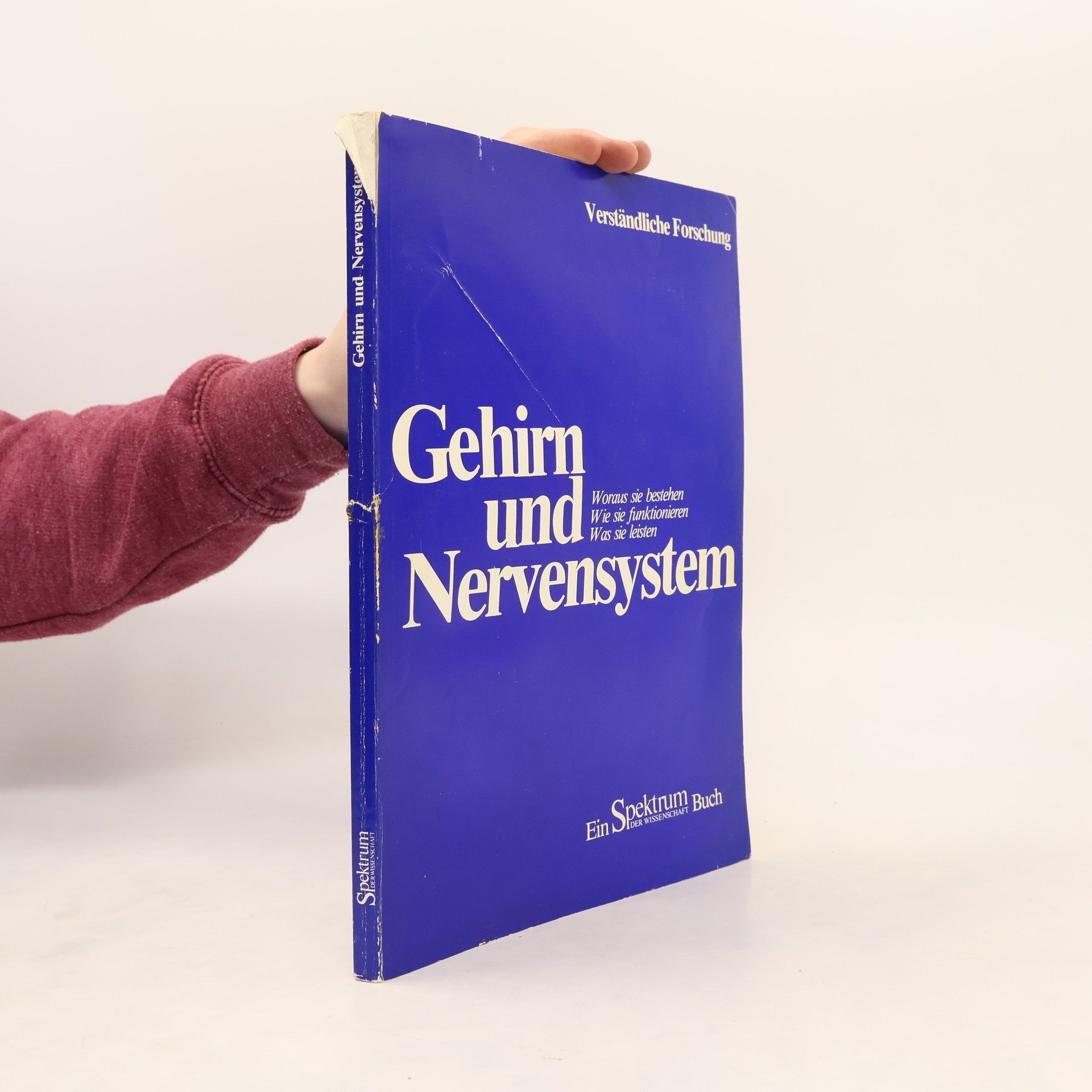 Autorenkollektiv Gehirn und Nervensystem