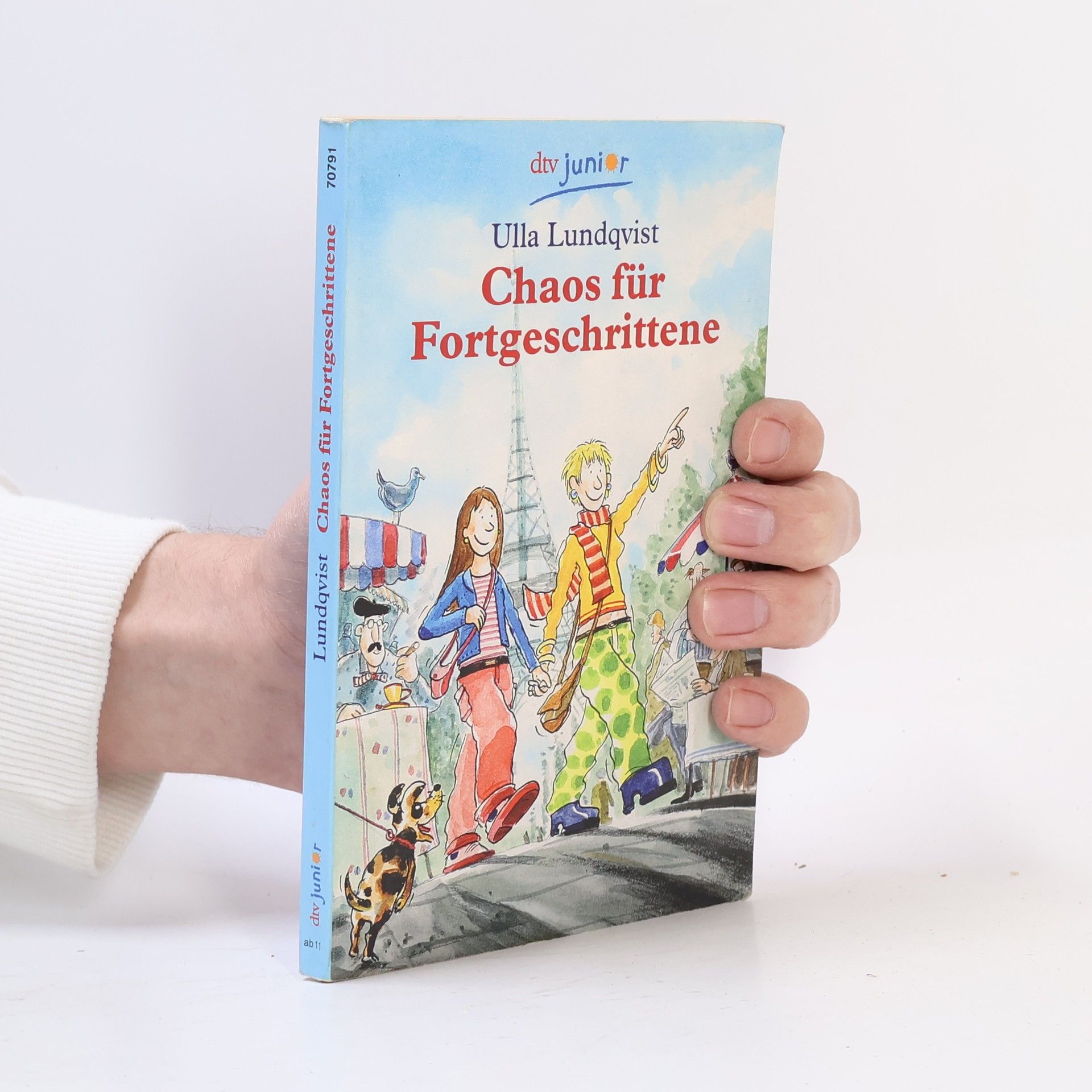 Ulla Lundqvist Chaos für Fortgeschrittene