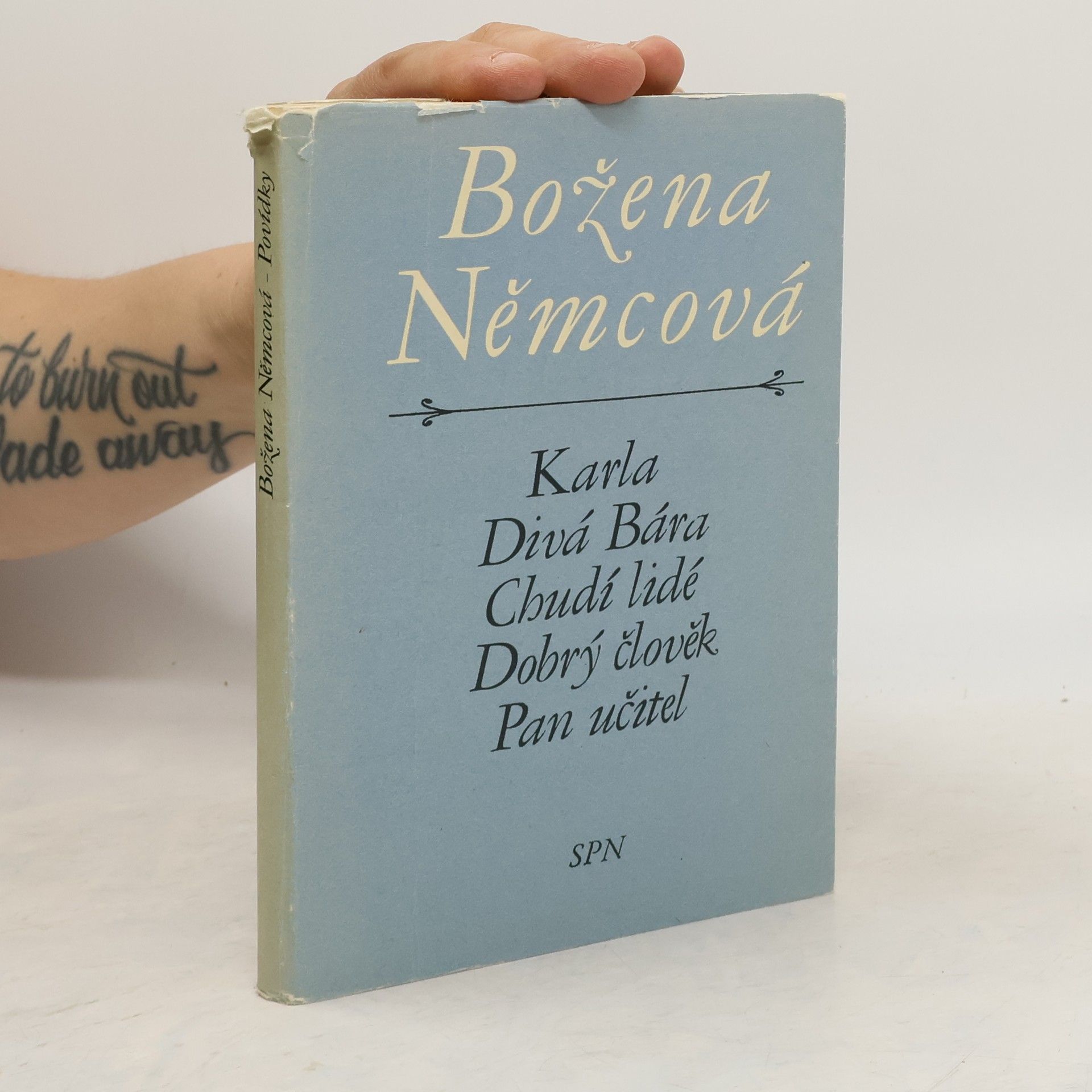 Božena Němcová Karla, Divá Bára, Chudí lidé, Dobrý člověk, Pan učitel