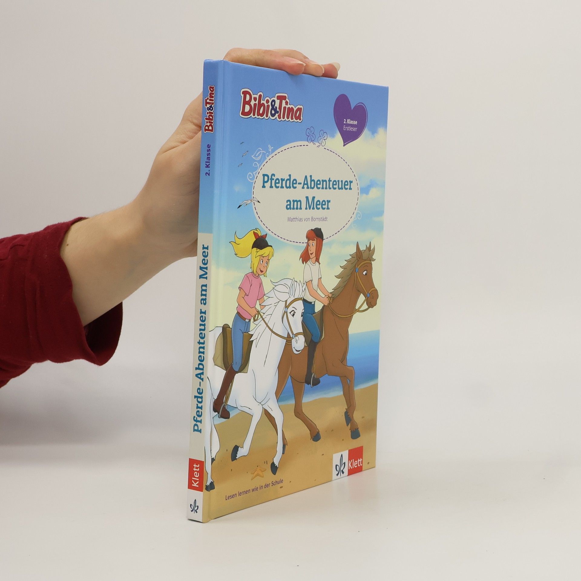 Pferde-Abenteuer am Meer