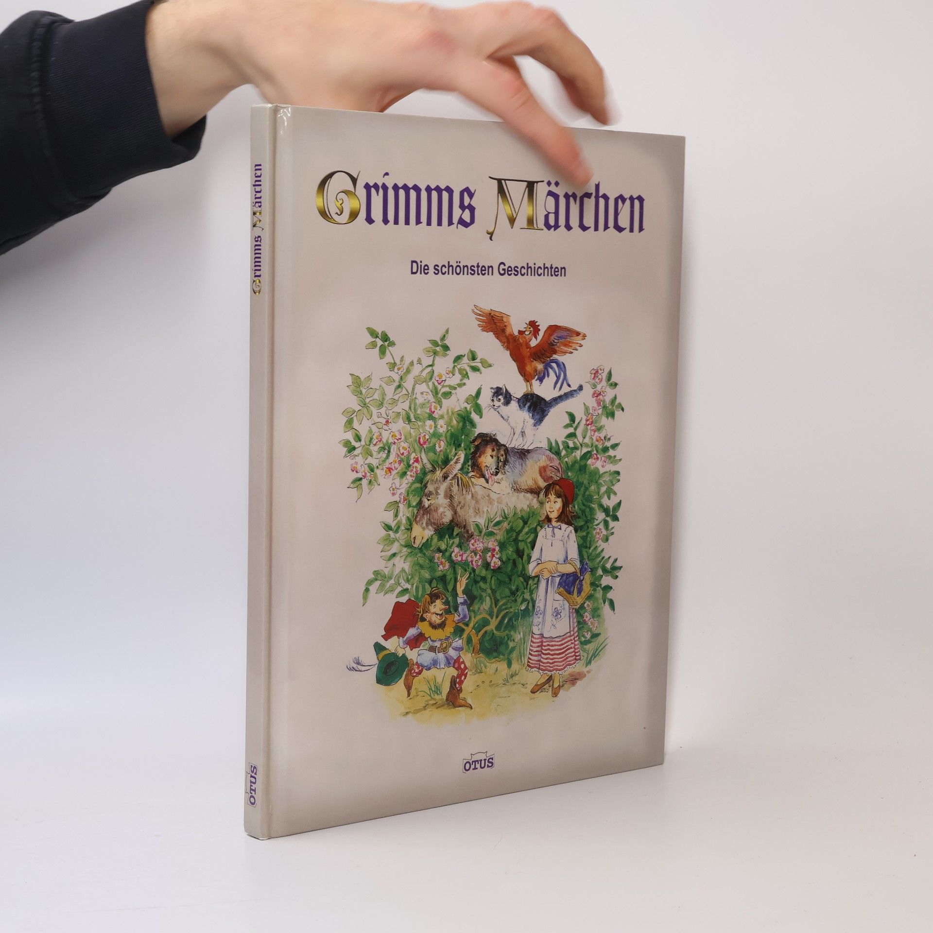 Kolektiv autorů Grimms Märchen