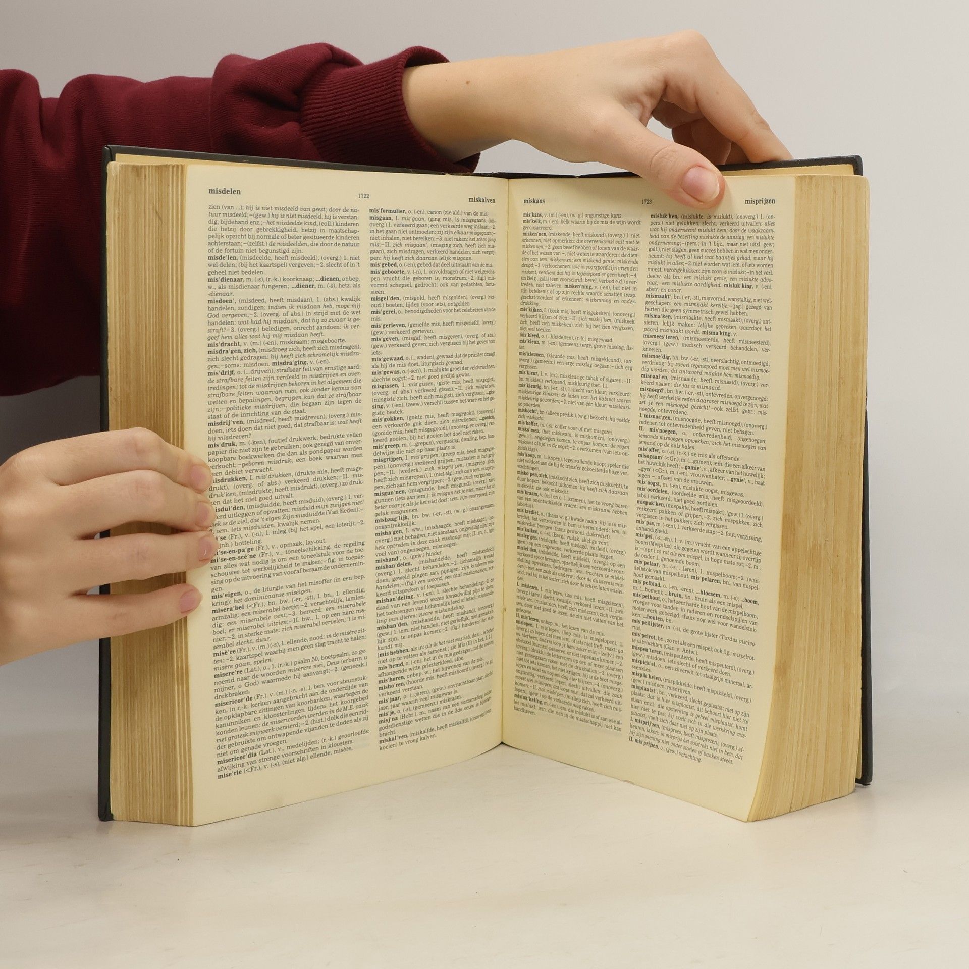 Various authors Groot woordenboek der Nederlandse taal 1-3