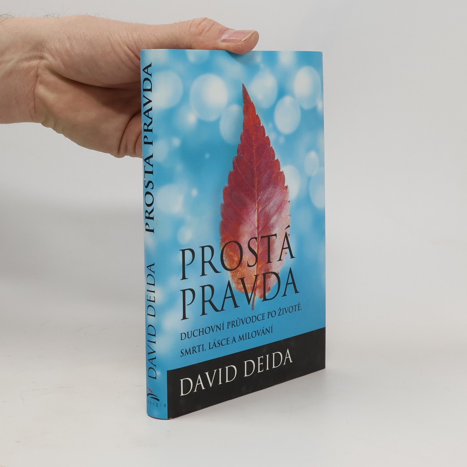 David Deida Prostá pravda