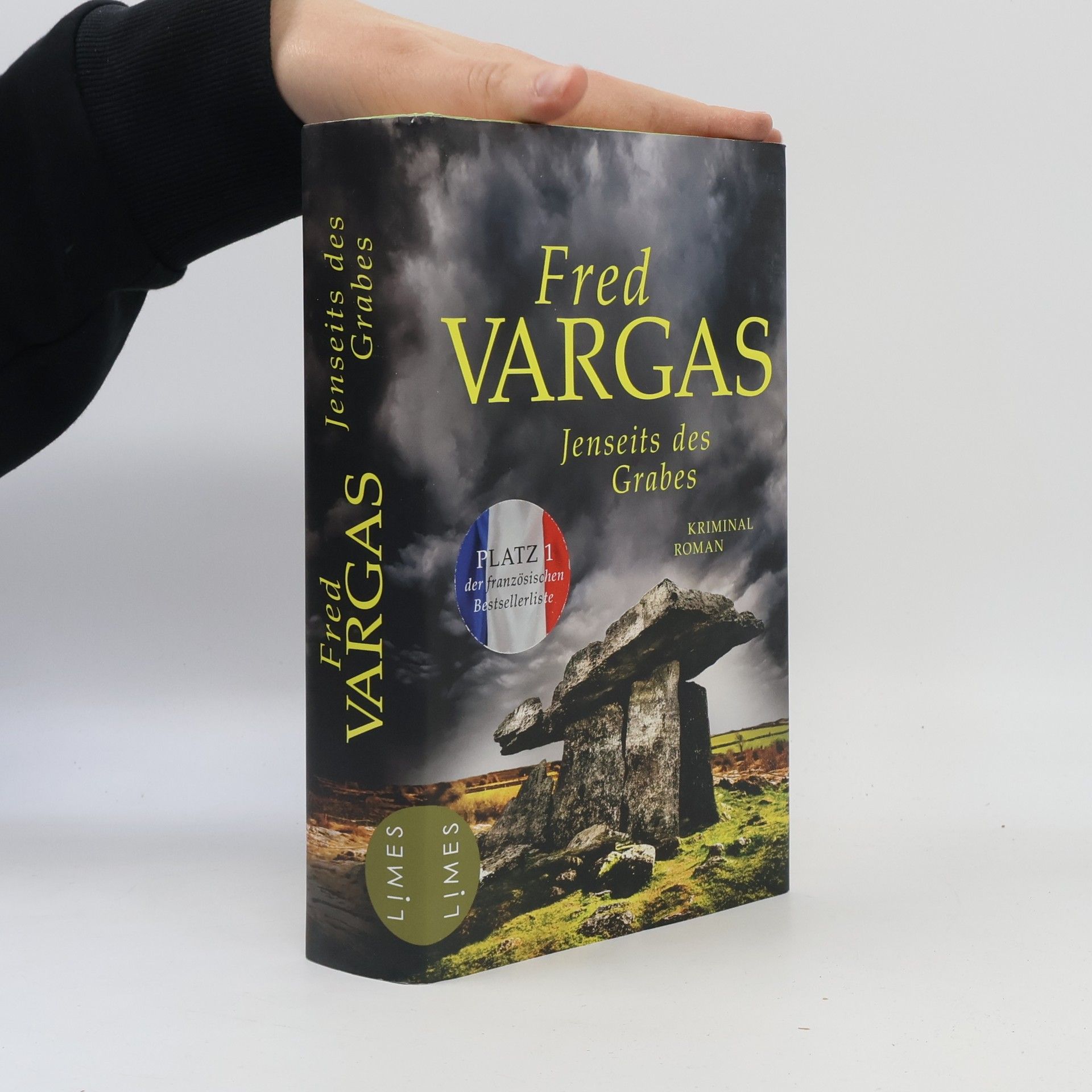 Fred Vargas Jenseits des Grabes
