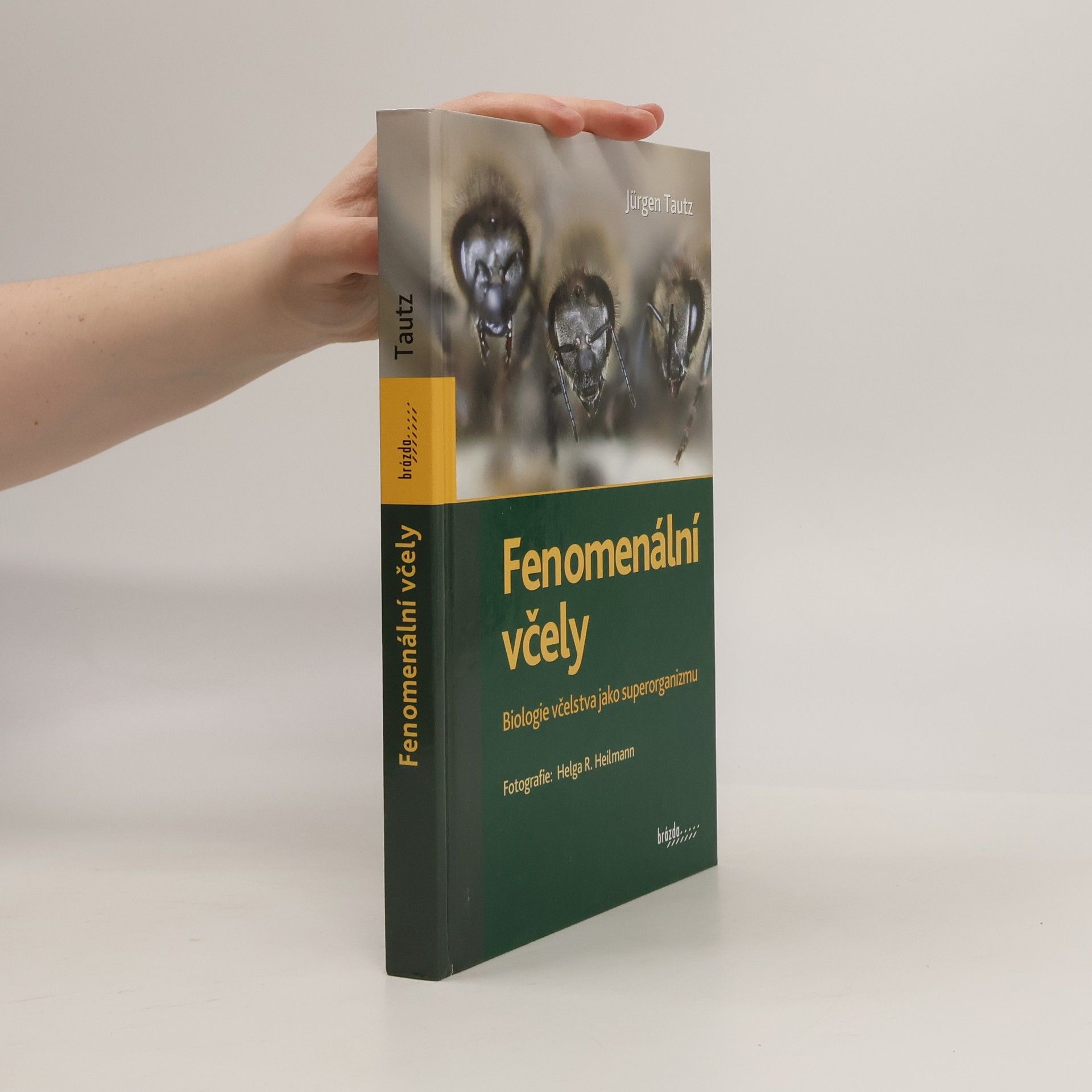 Fenomenální včely