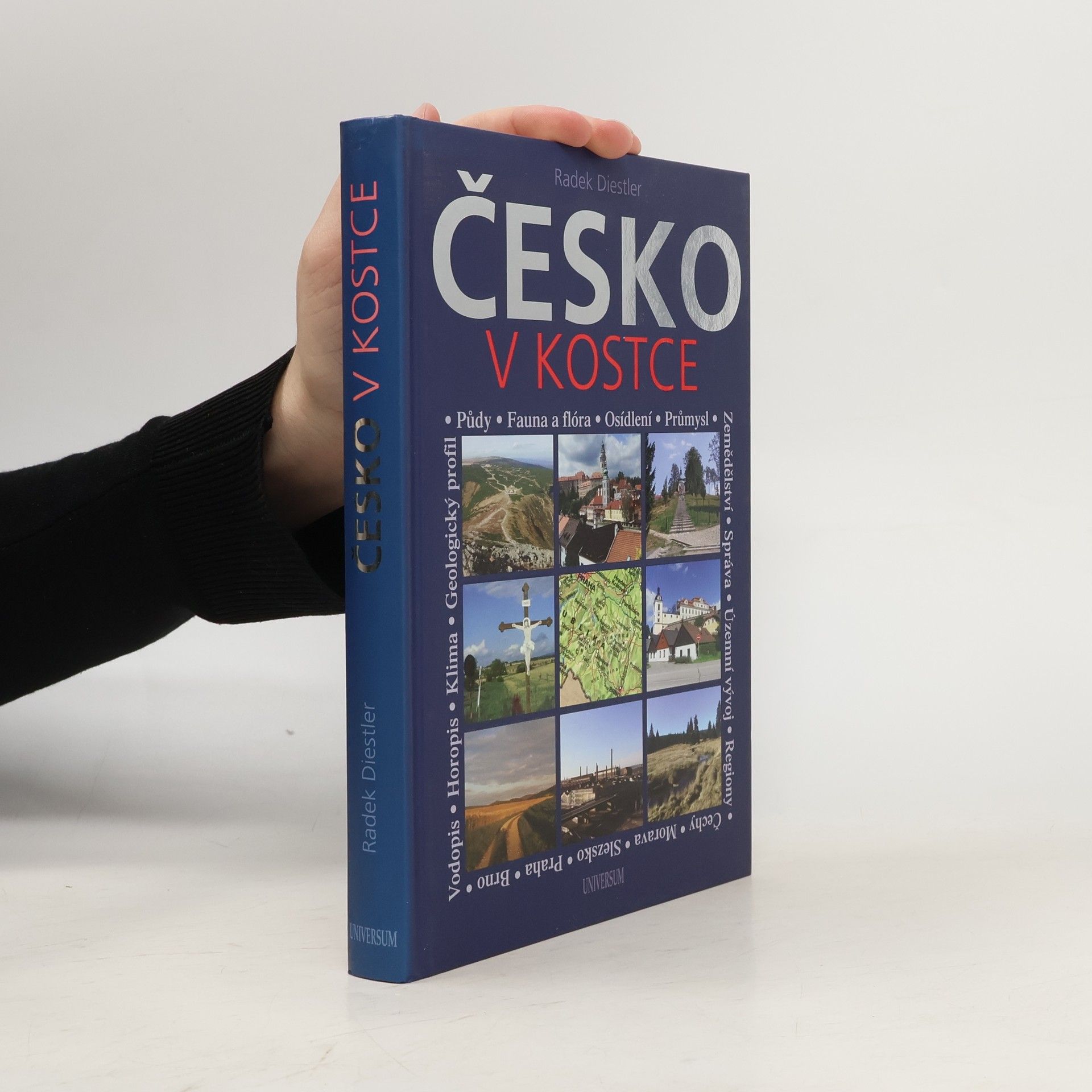 Radek Diestler Česko v kostce : netradiční vlastivěda pro každého