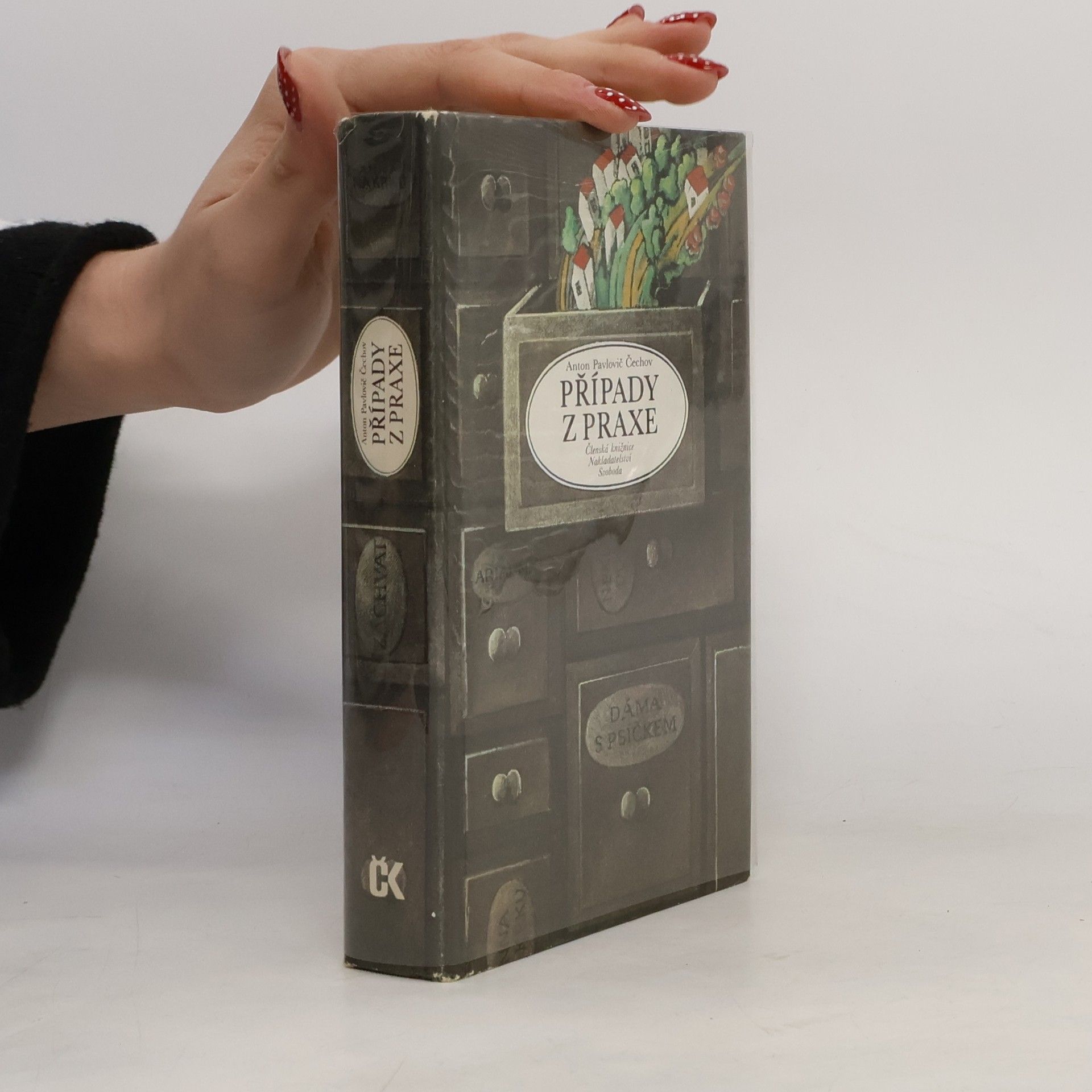 Anton Pawlowitsch Tschechow Případy z praxe