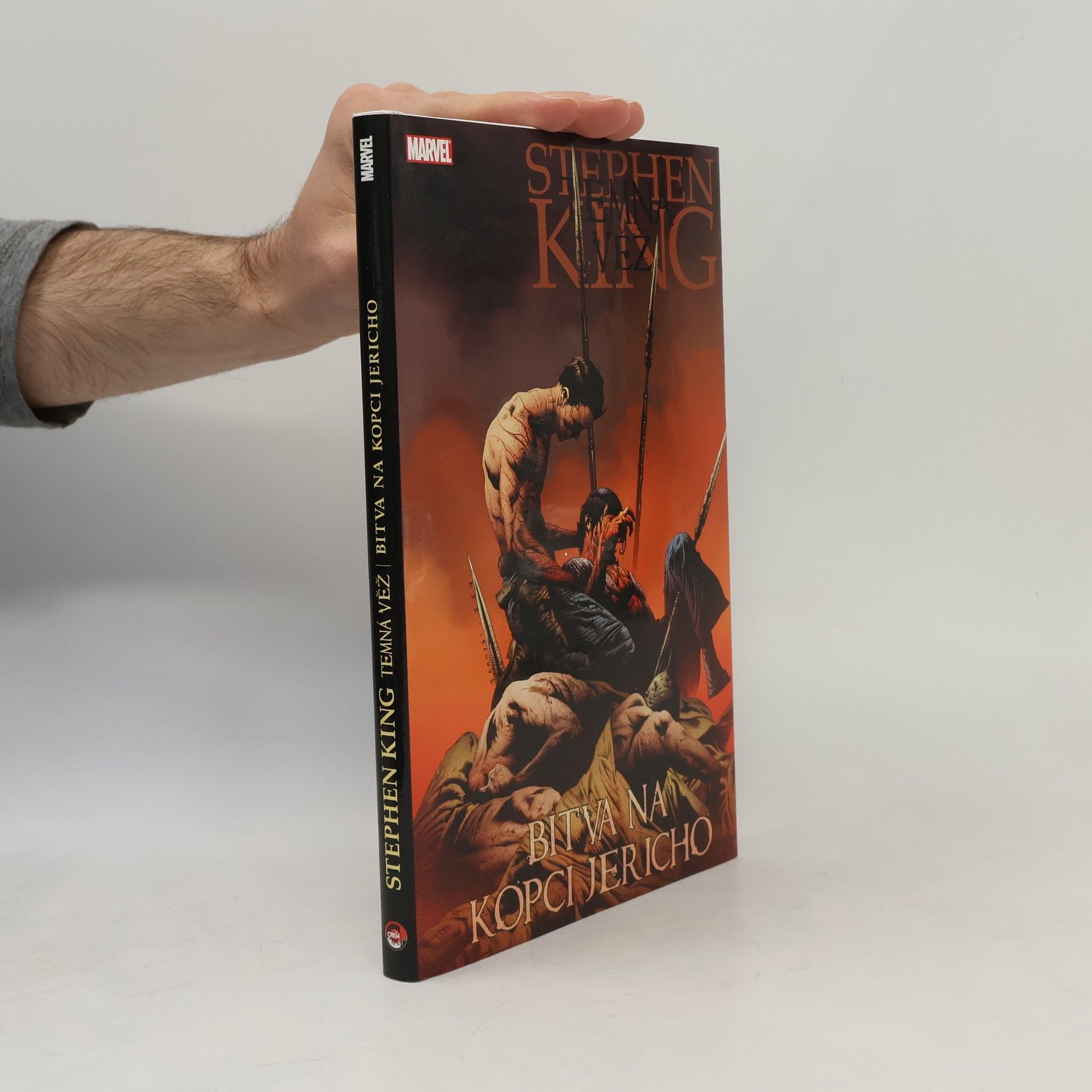 Robin Furth Temná věž 5: Bitva na kopci Jericho