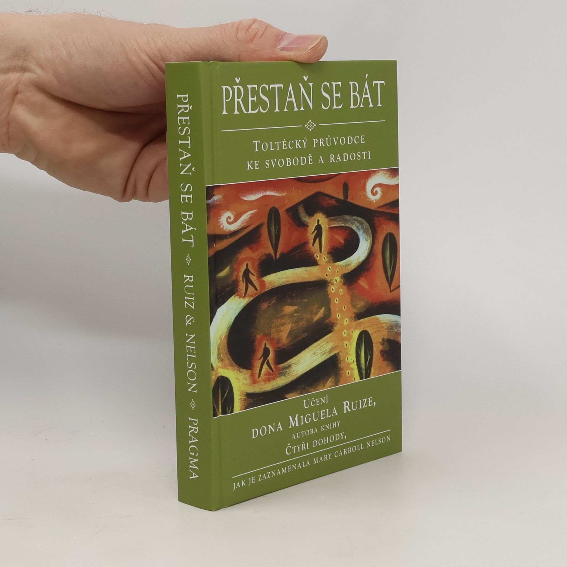 Mary Carroll Nelson Přestaň se bát