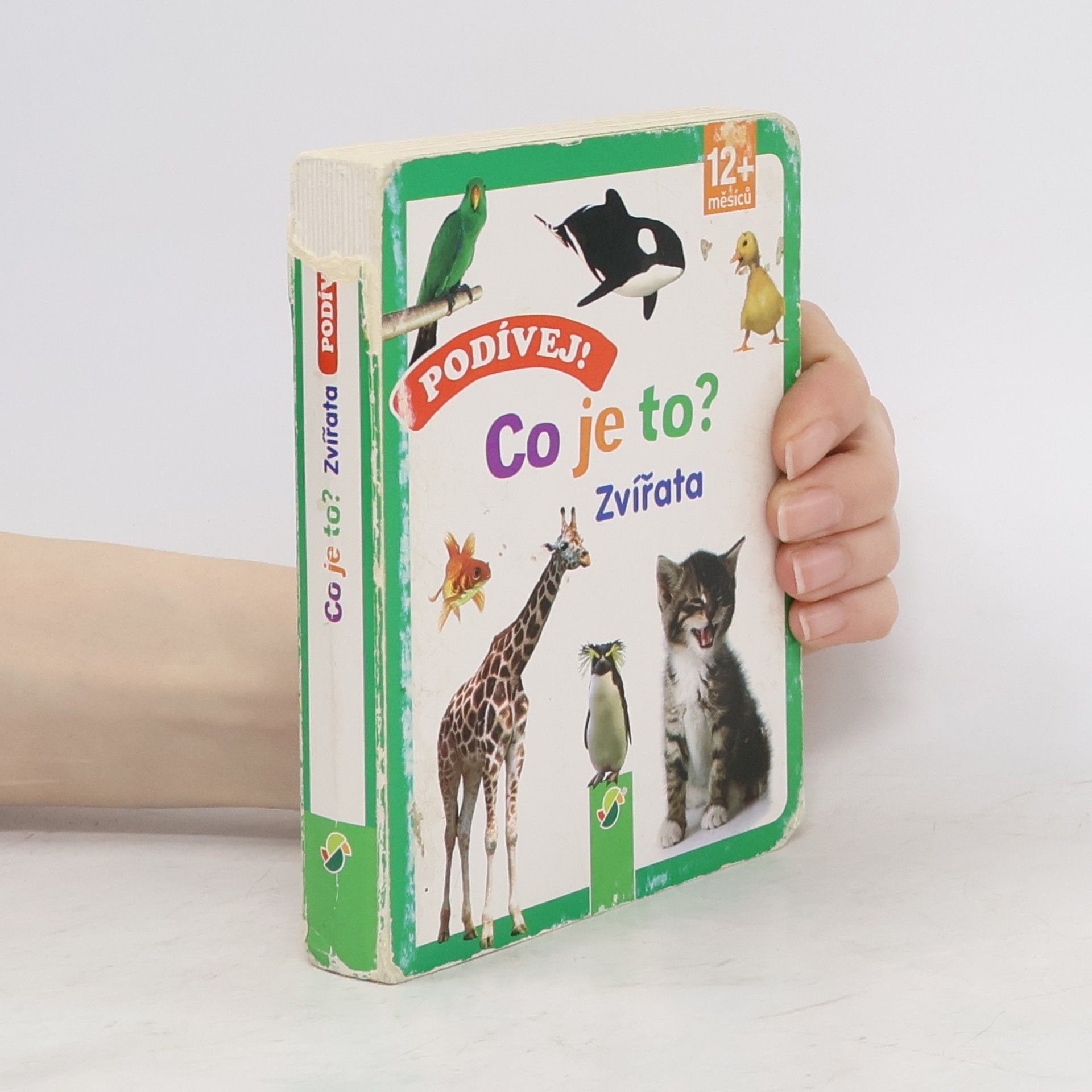 Kolektiv autorů Podívej! Co je to? - Zvířata