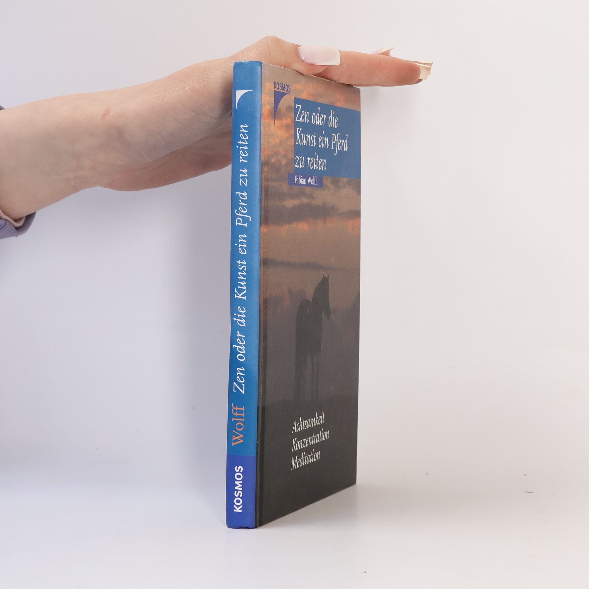 Fabian Wolff Zen oder die Kunst ein Pferd zu reiten