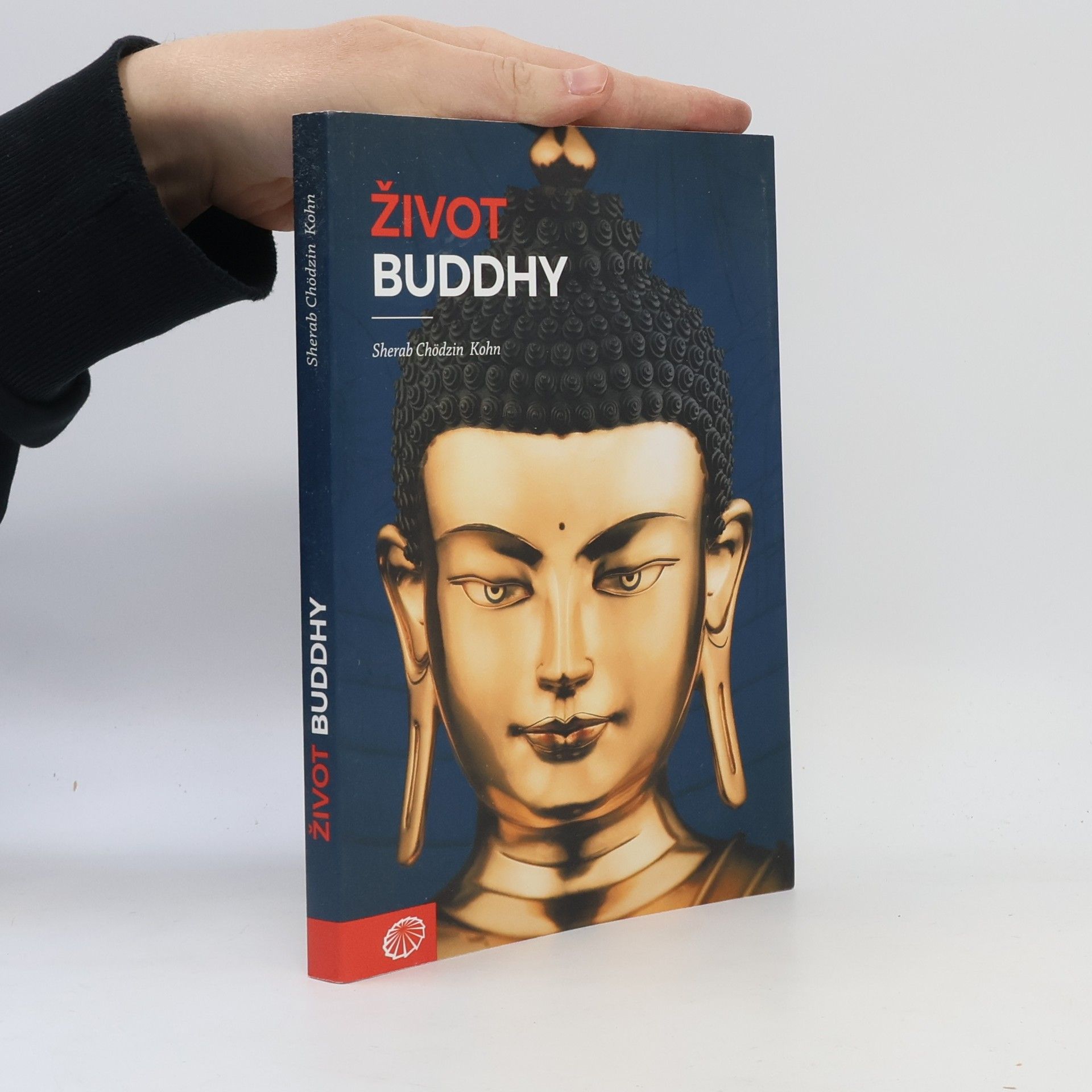 Sherab Chödzin Kohn Život Buddhy