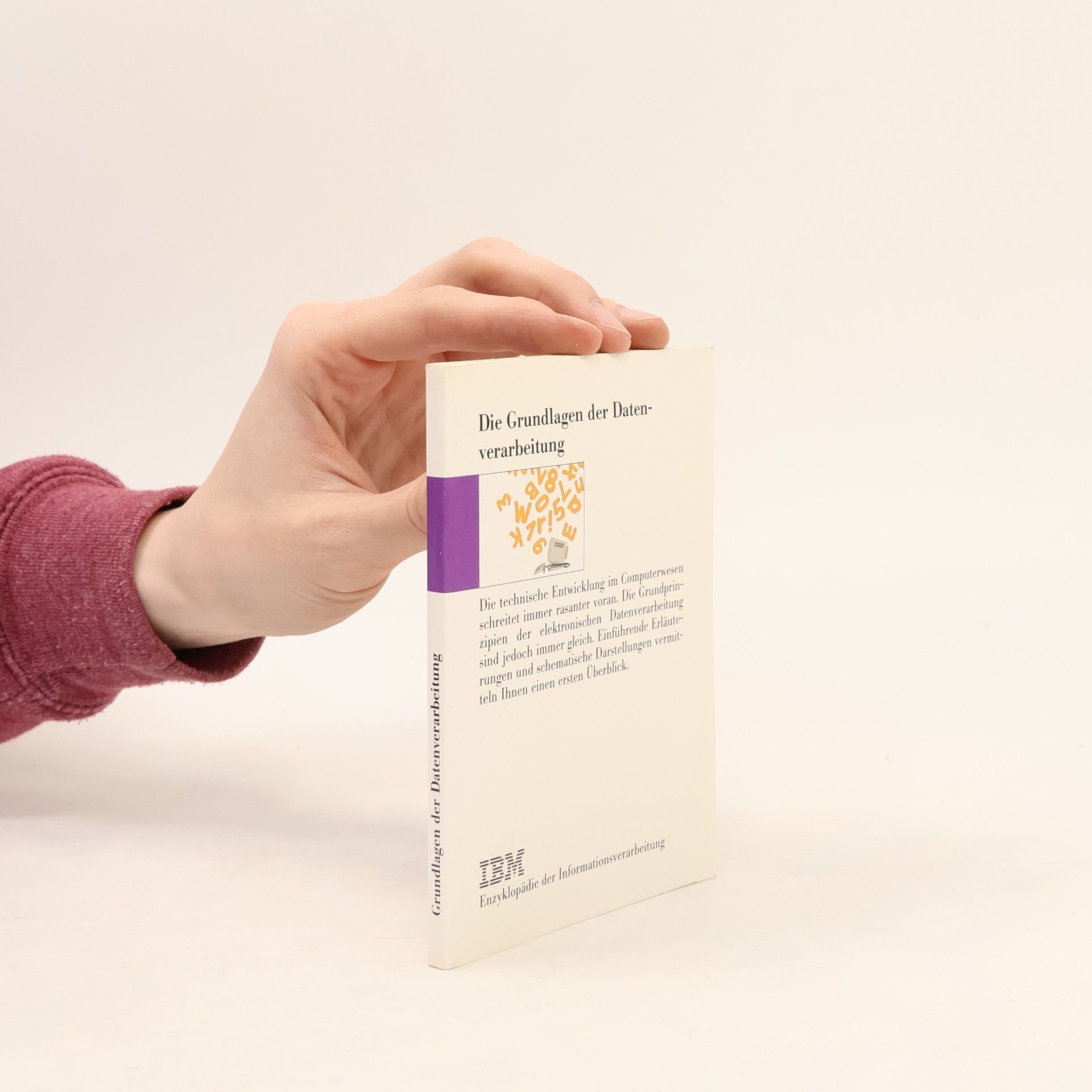 Die Grundlagen der Informationsverarbeitung