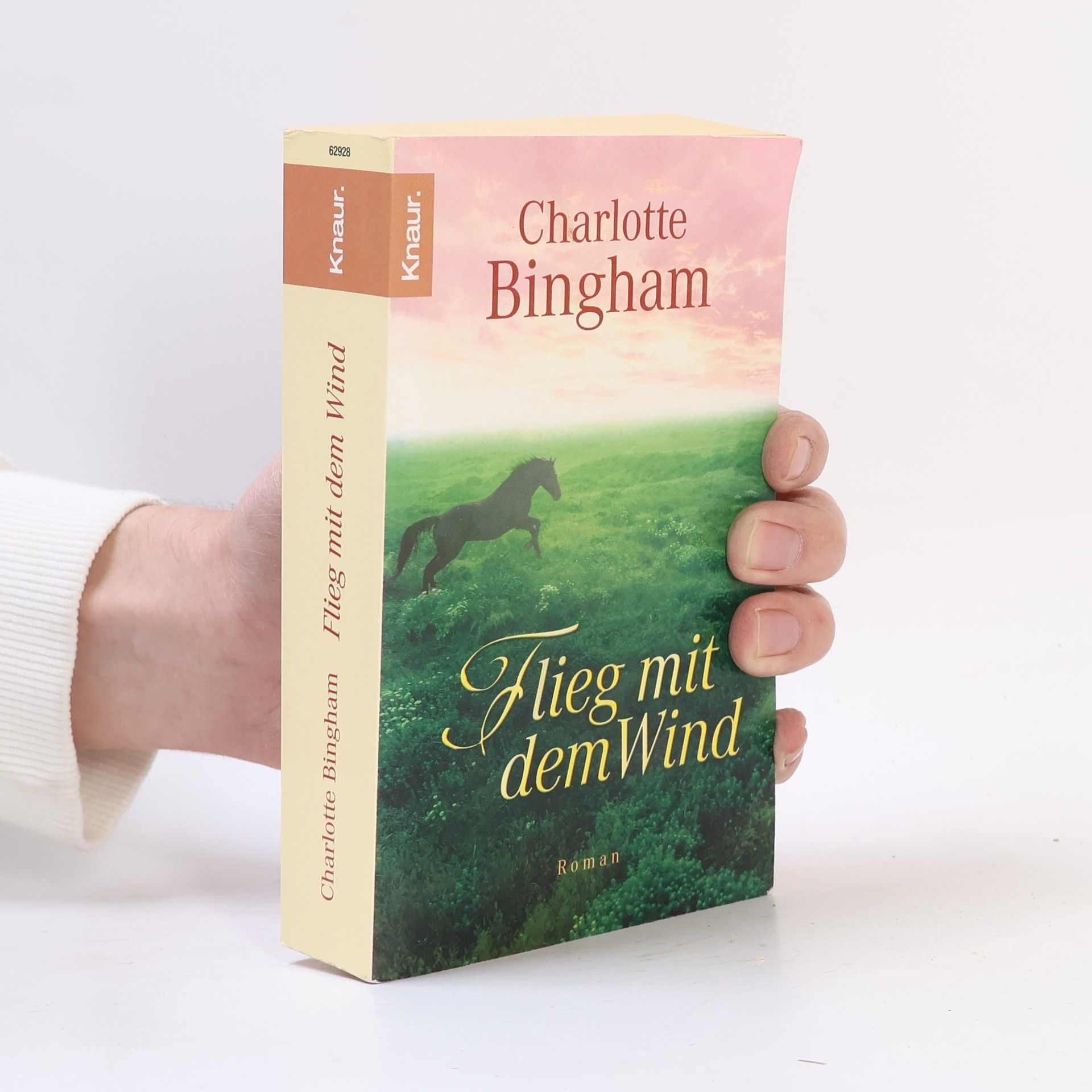 Charlotte Bingham Flieg mit dem Wind. Roman