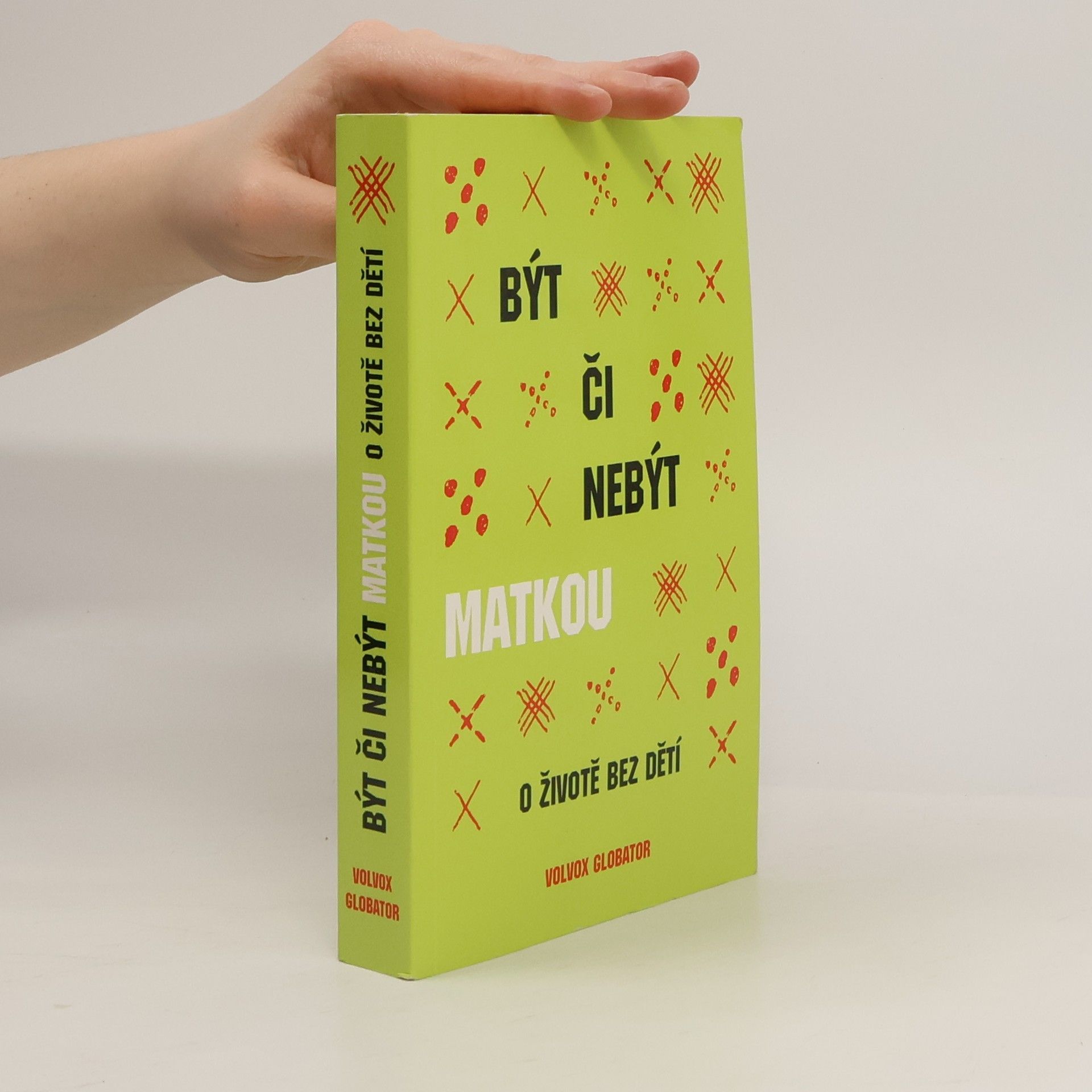 Kolektiv autorů Být či nebýt matkou