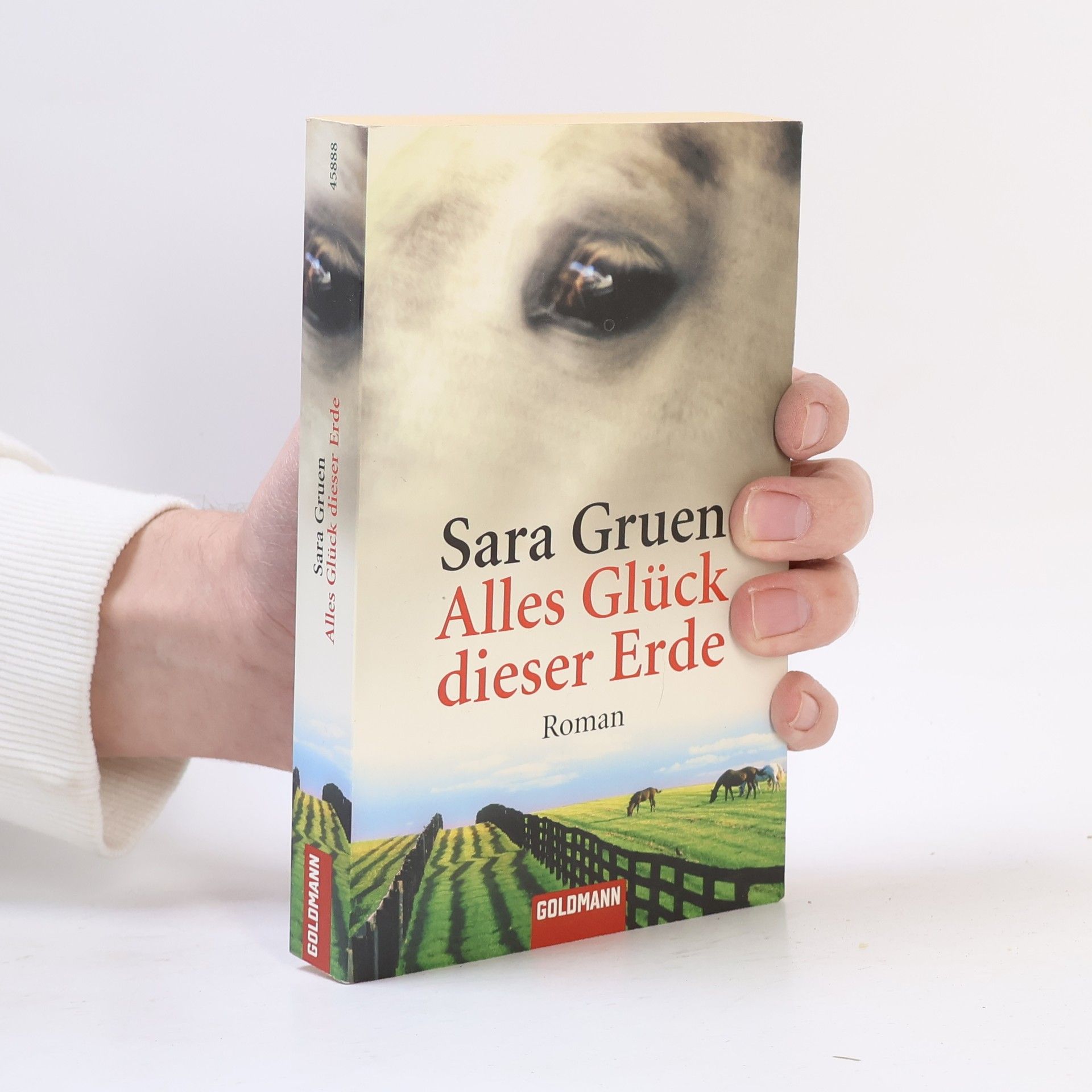Sara Gruen Alles Glück dieser Erde