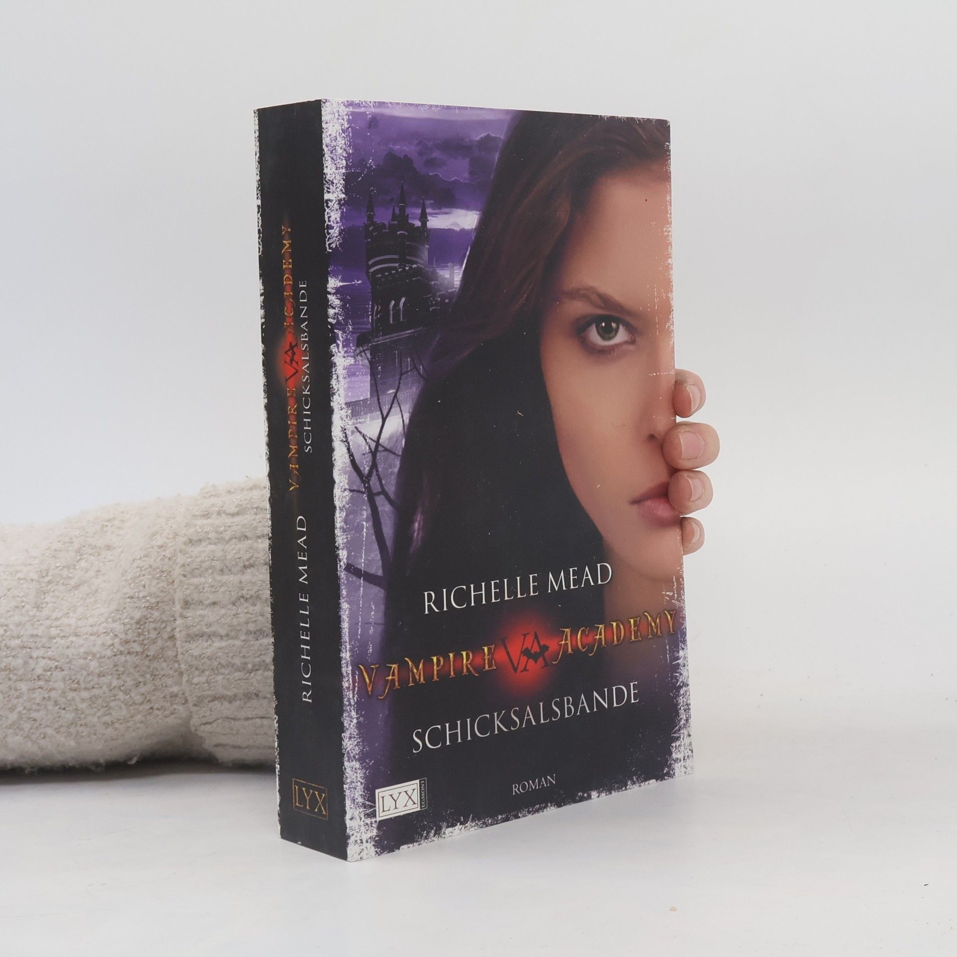 Richelle Mead Vampire Academy. Schicksalbande