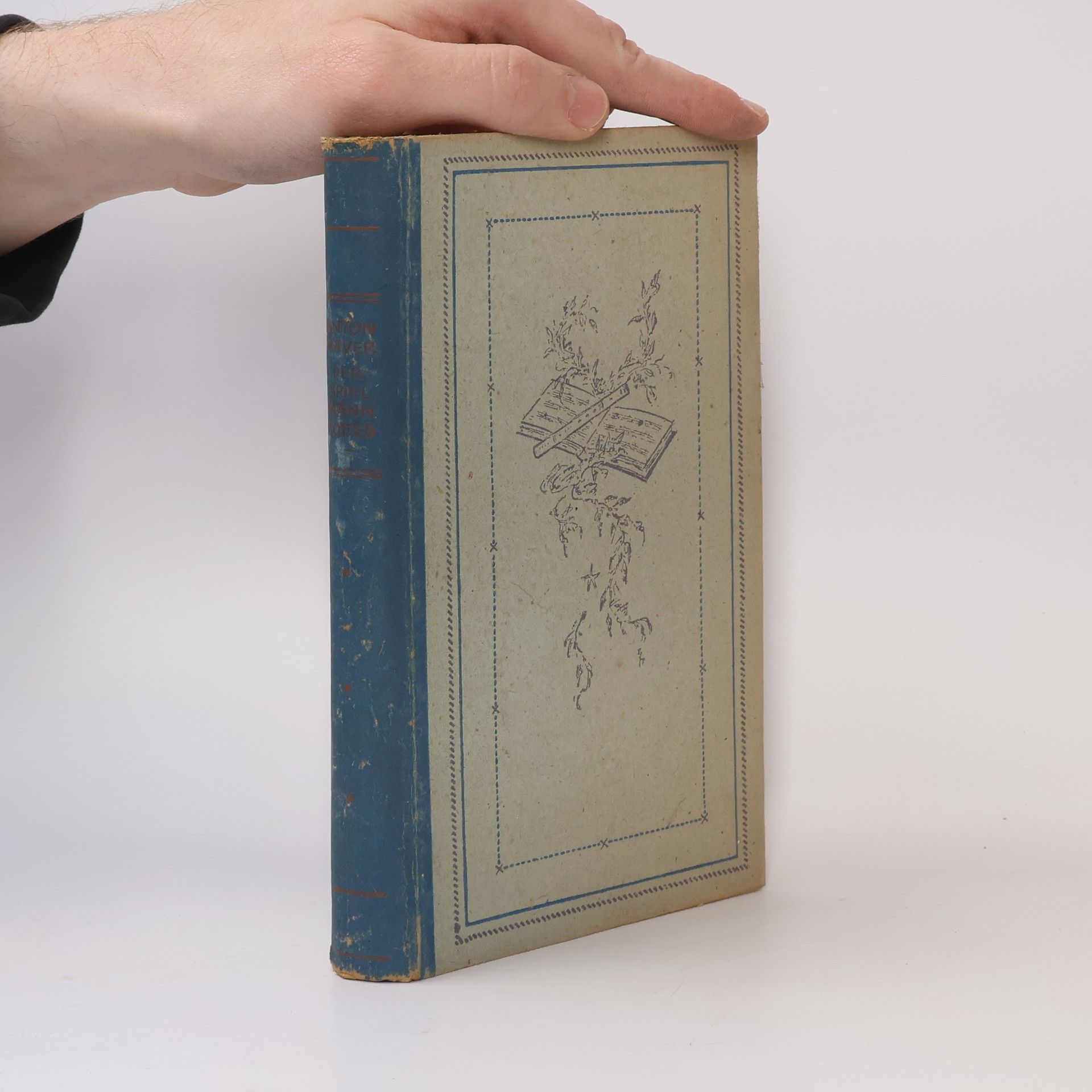 Anton Mayer Der Spielmann Gottes