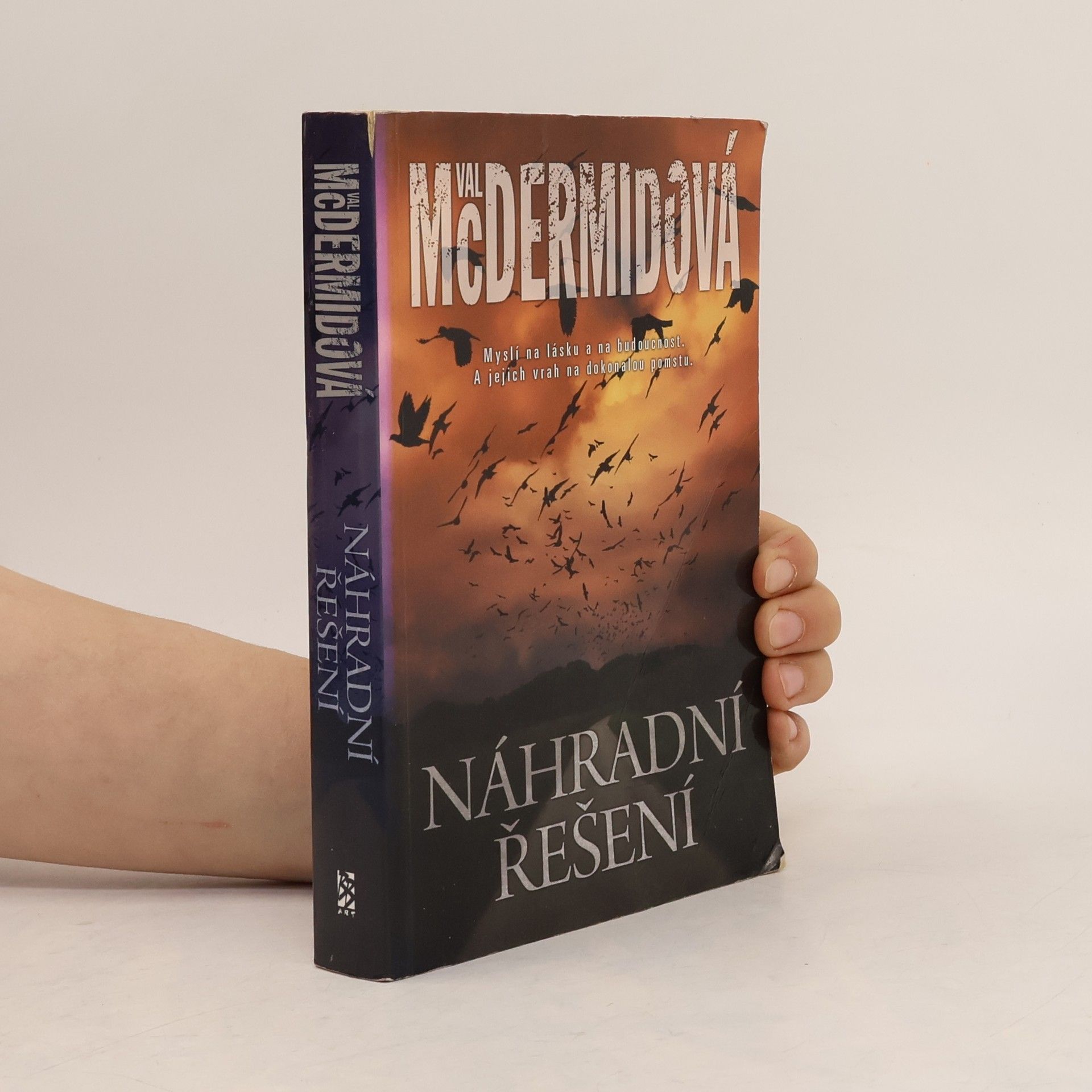 Val McDermid Náhradní řešení