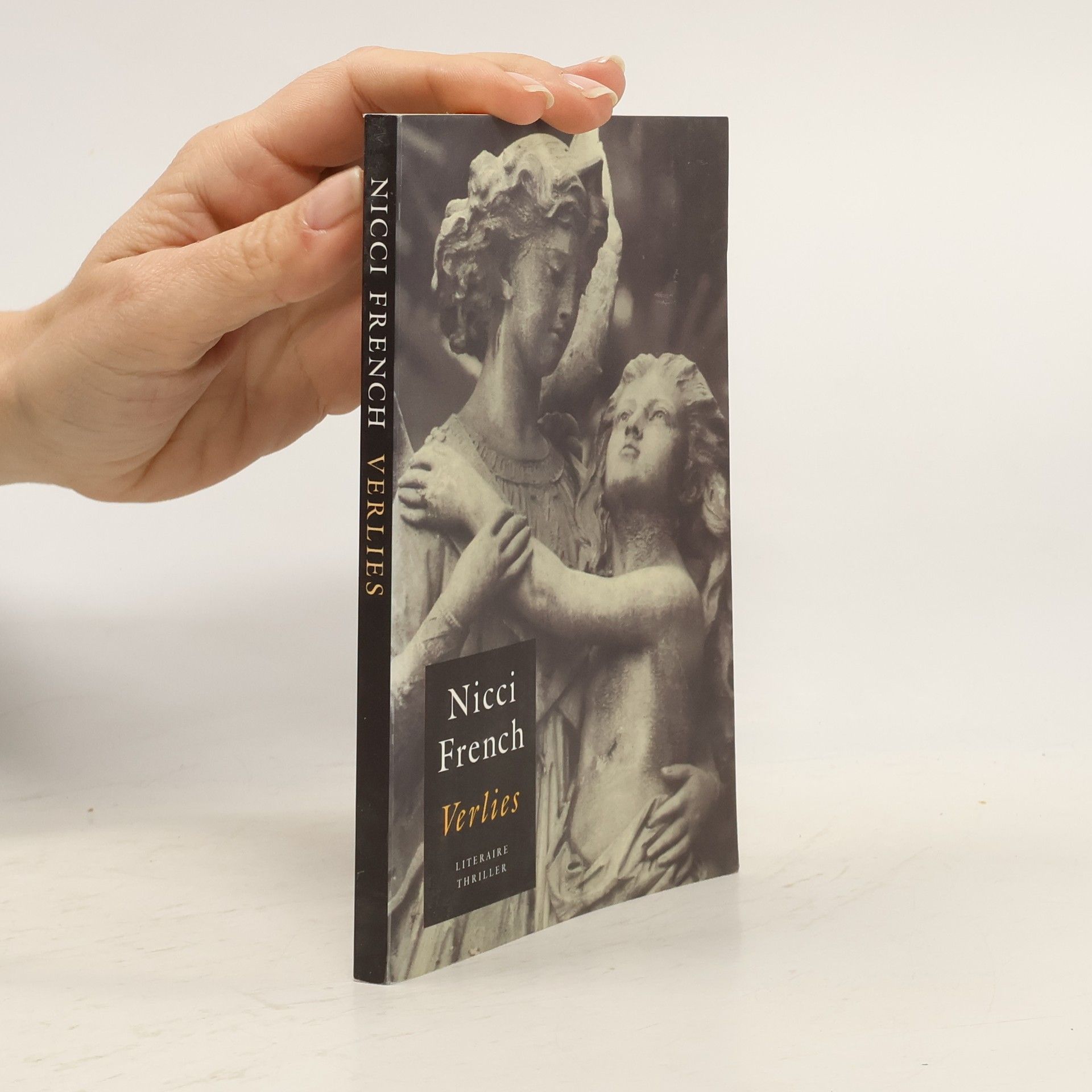 Nicci French Verlies