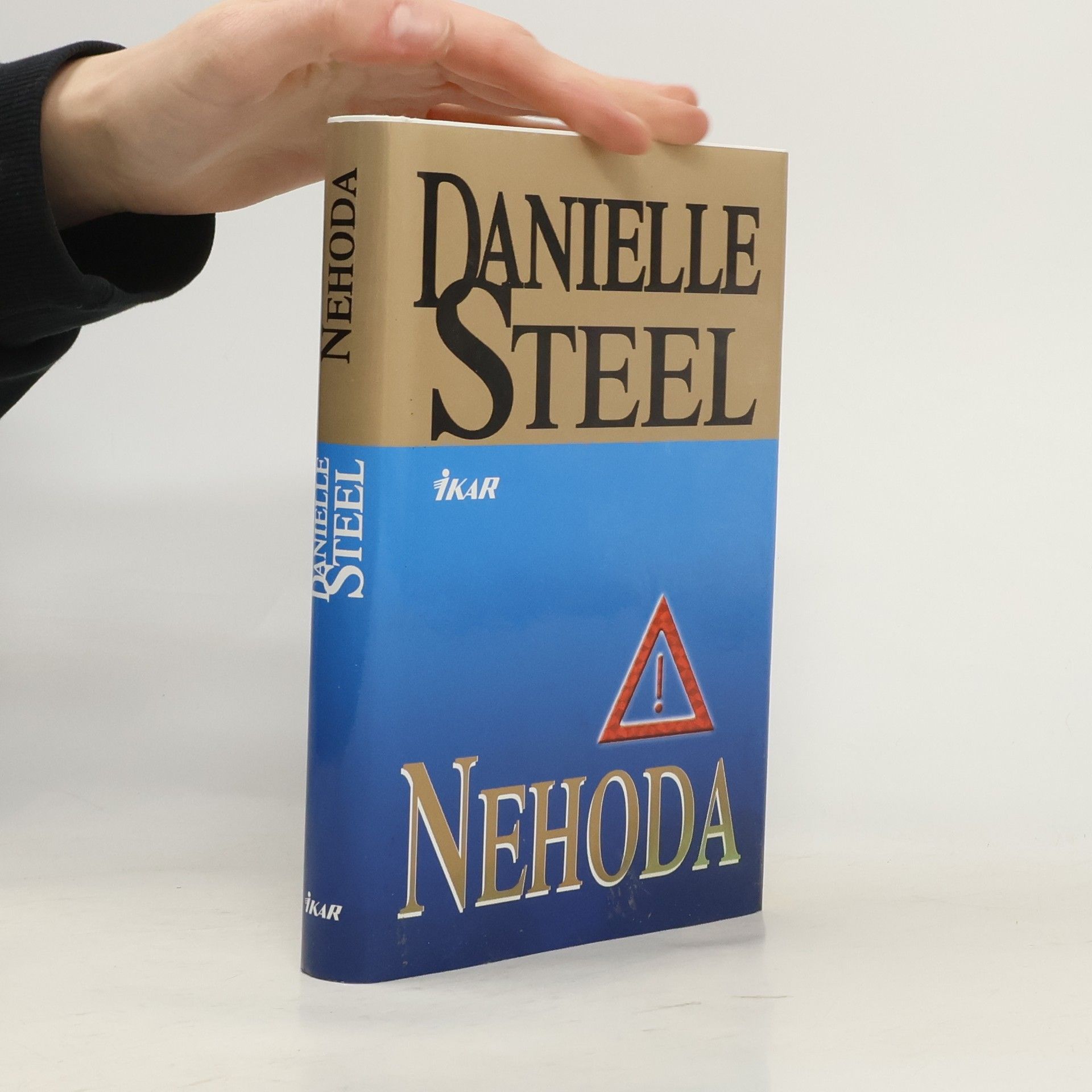 Danielle Steel Nehoda