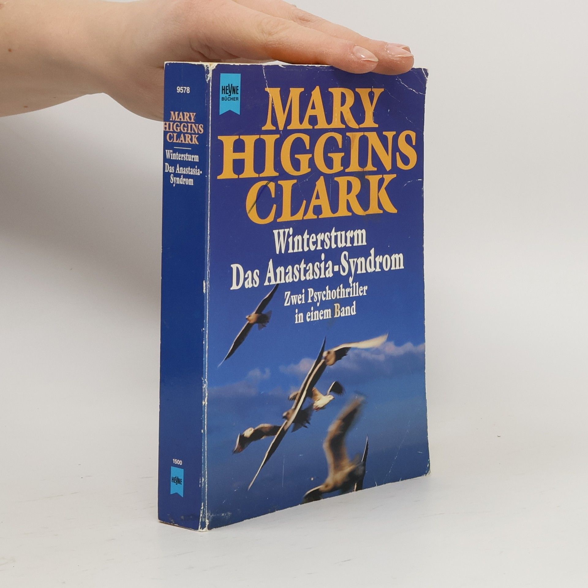 Mary Higgins Clark Wintersturm / Das Anastasia-Syndrom.