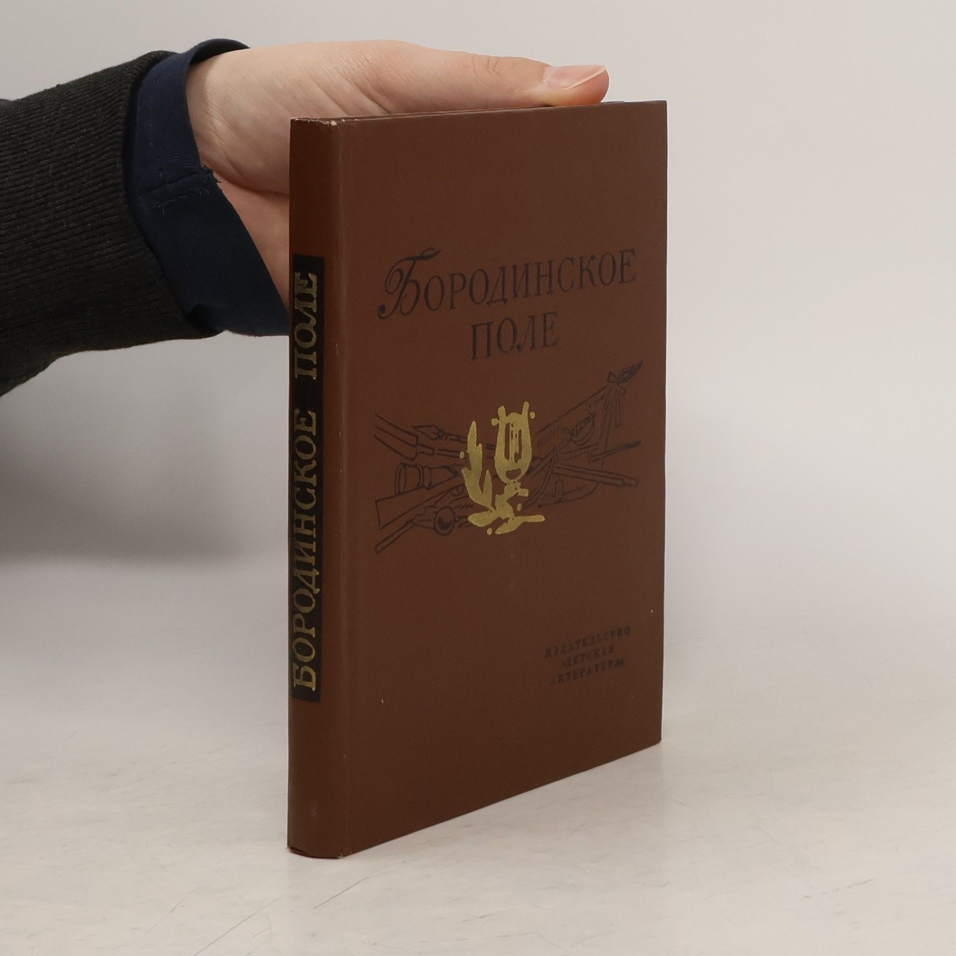 Kolektiv autorů Бородинское поле. 1812 год в русской поэзии