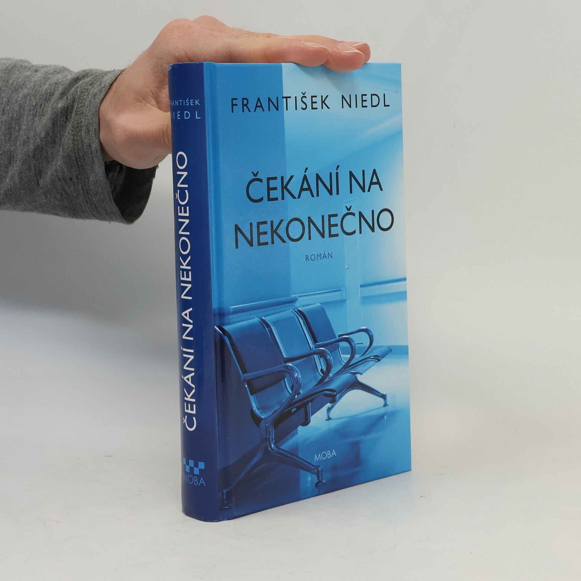 František Niedl Čekání na nekonečno