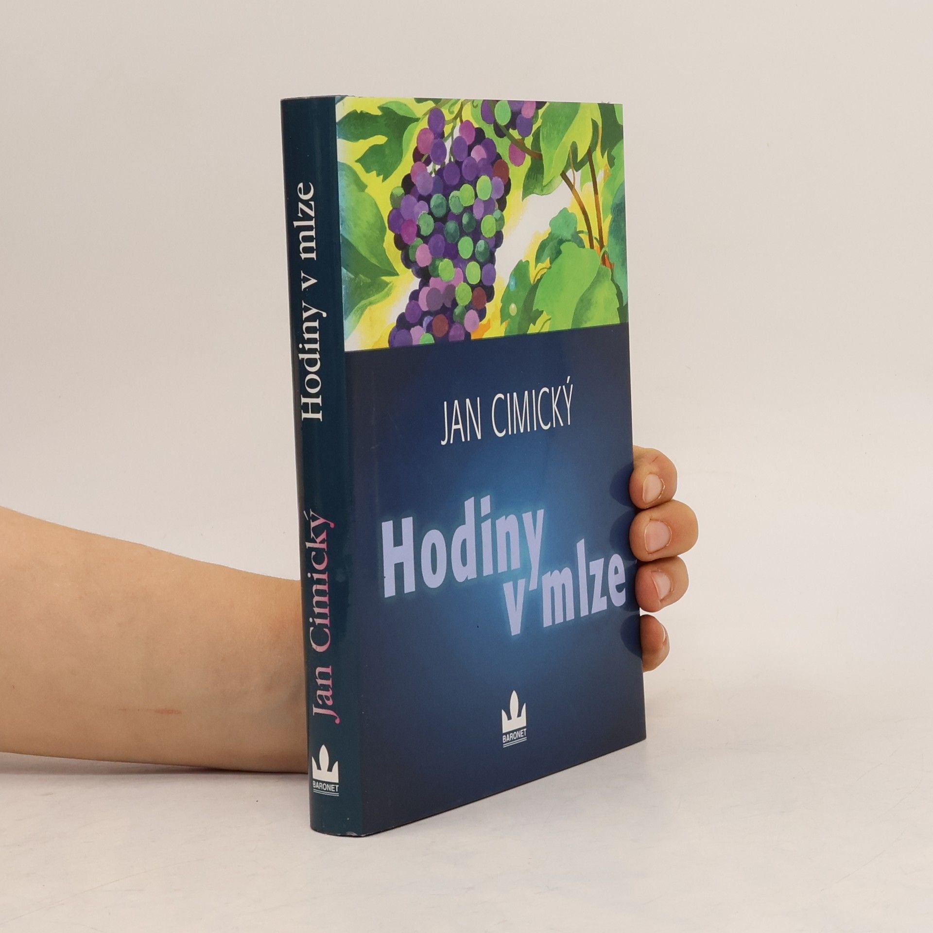 Jan Cimický Hodiny v mlze