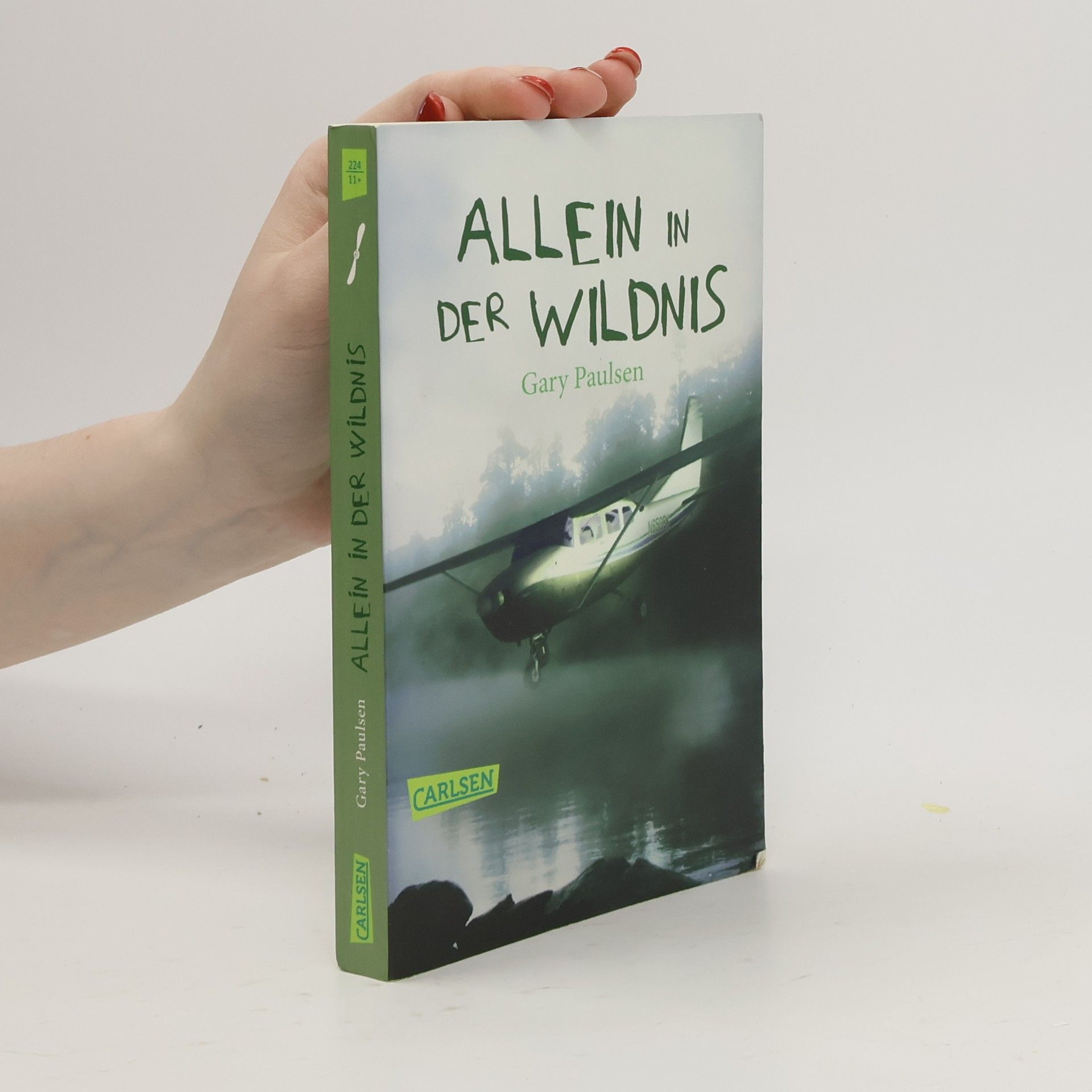 Gary Paulsen Allein in der Wildnis