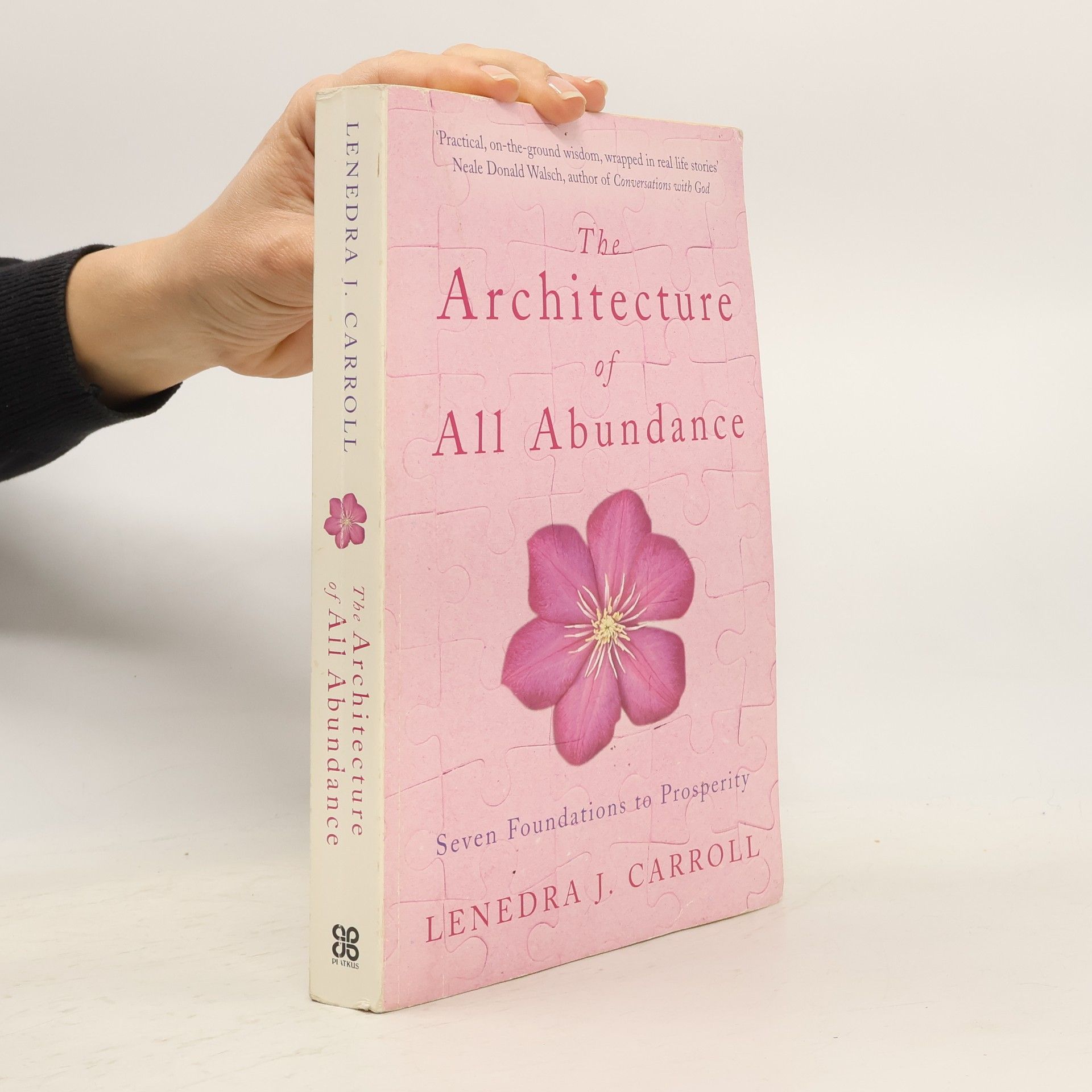 Lenedra Jewel Carroll The Architecture of All Abundance