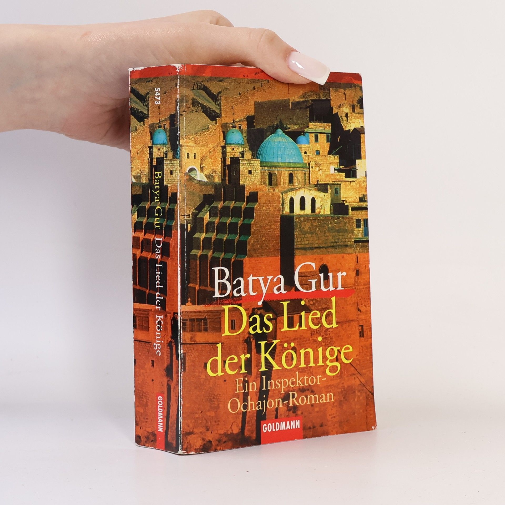 Batya Gur Das Lied der Könige