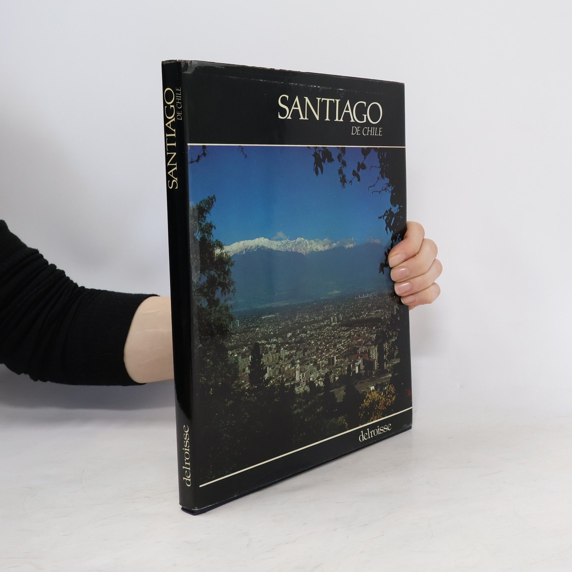 Jaime Valdés Santiago de Chile