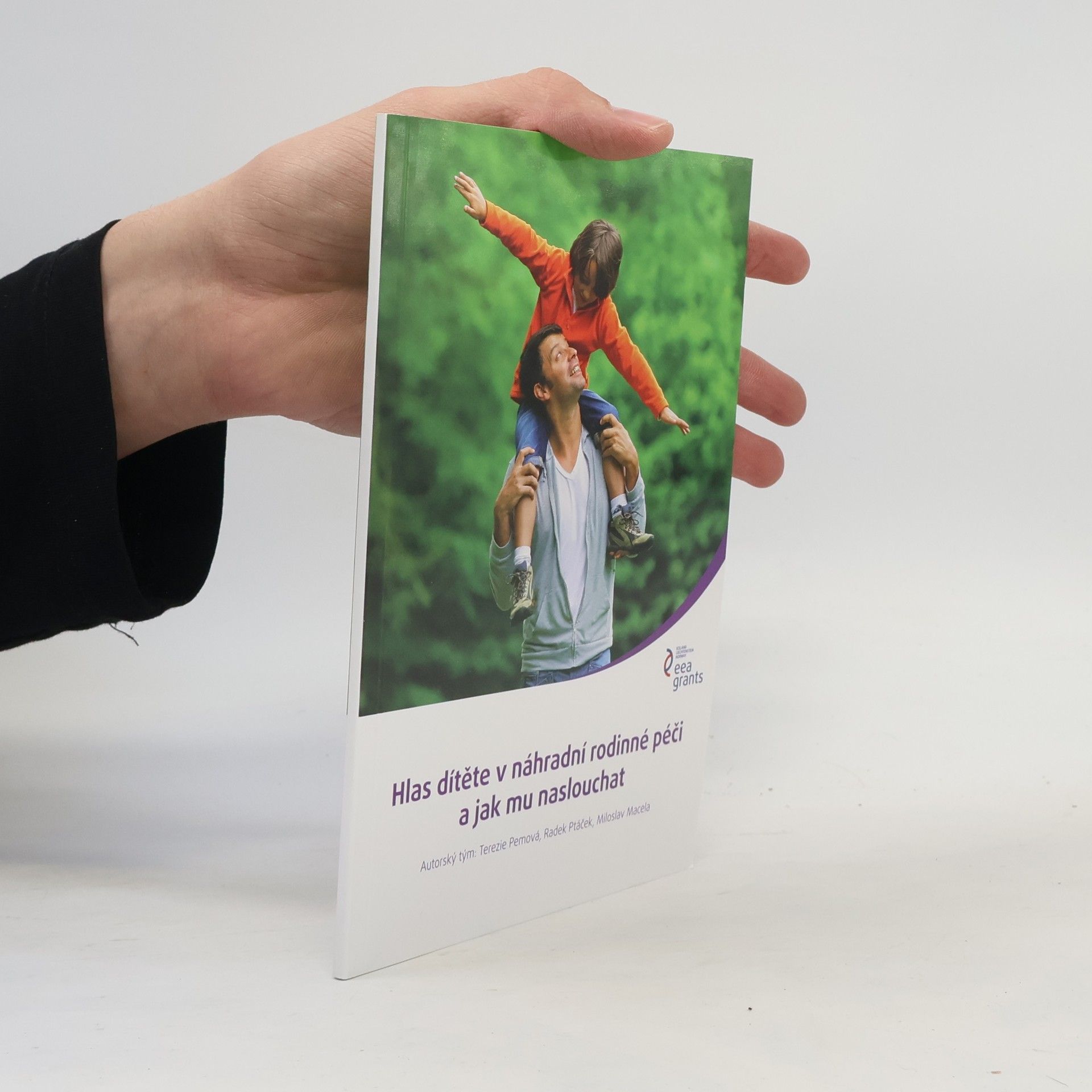 Autorenkollektiv Hlas dítěte v náhradní rodinné péči a jak mu naslouchat