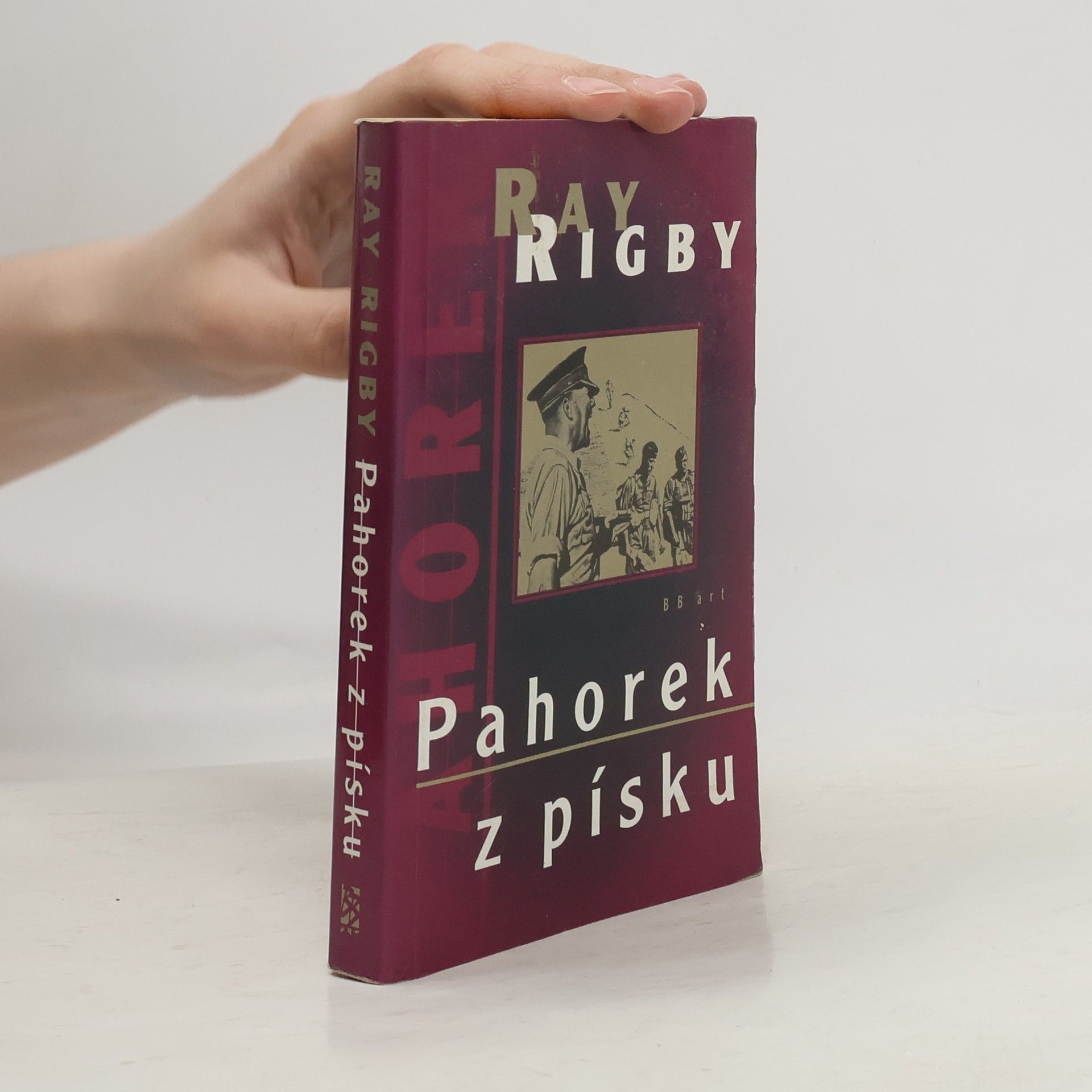 Ray Rigby Pahorek z písku