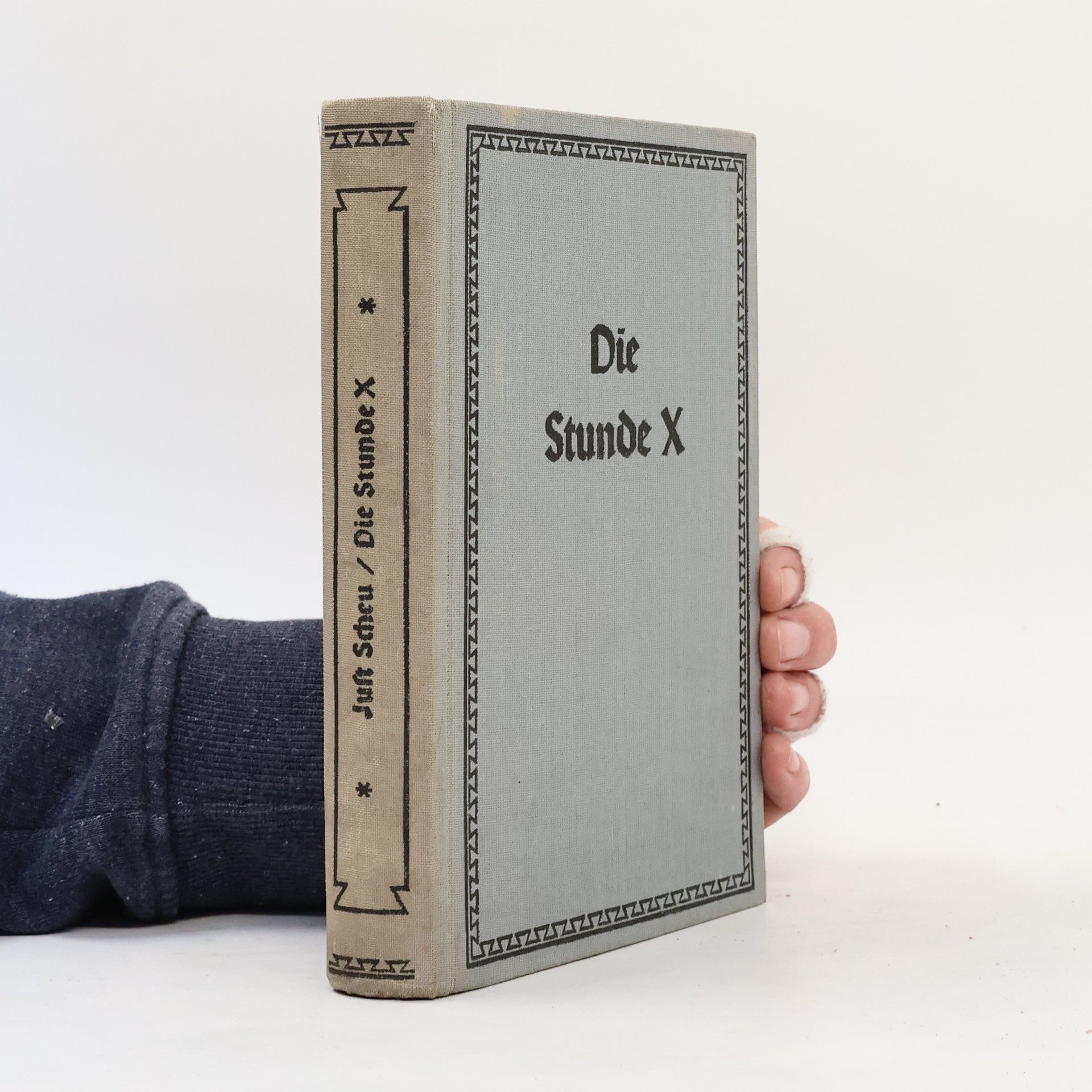 Just Scheu Die Stunde X