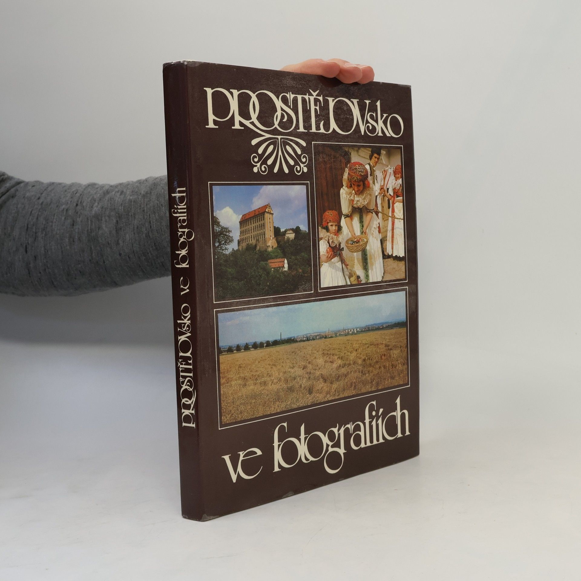 Bohumil Přikryl Prostějovsko ve fotografiích