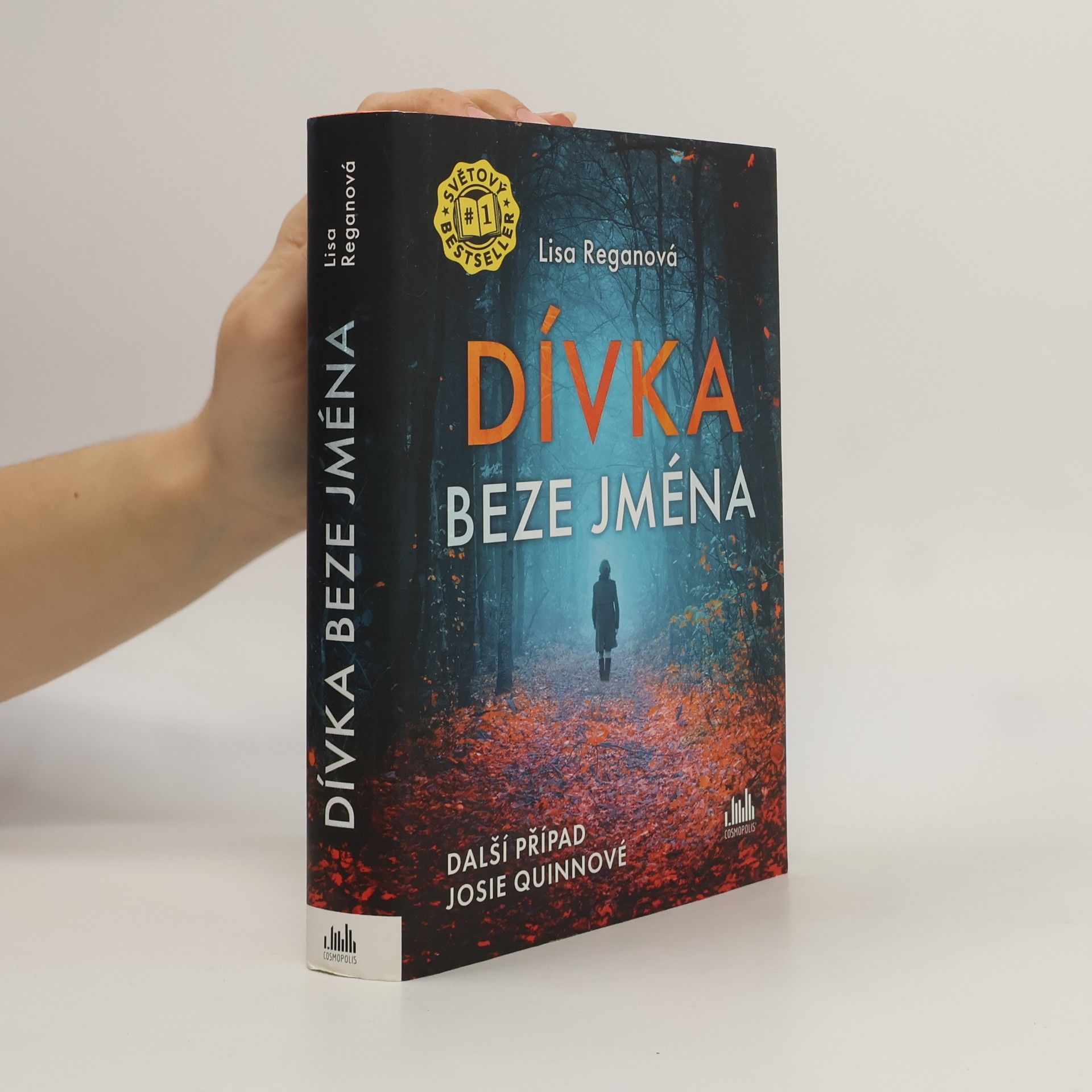 Lisa Regan Dívka beze jména: Další případ Josie Quinnové