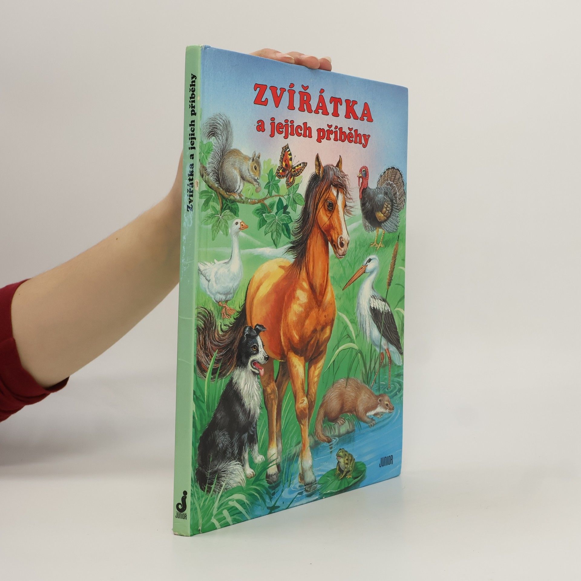 Zvířátka a jejich příběhy
