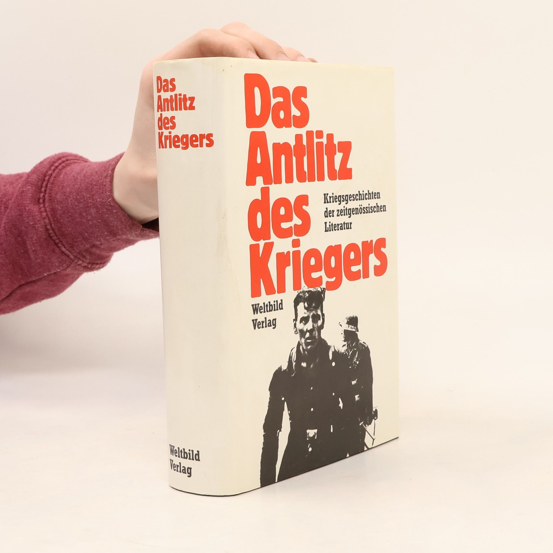 Kolektiv autorů Das Antlitz des Kriegers