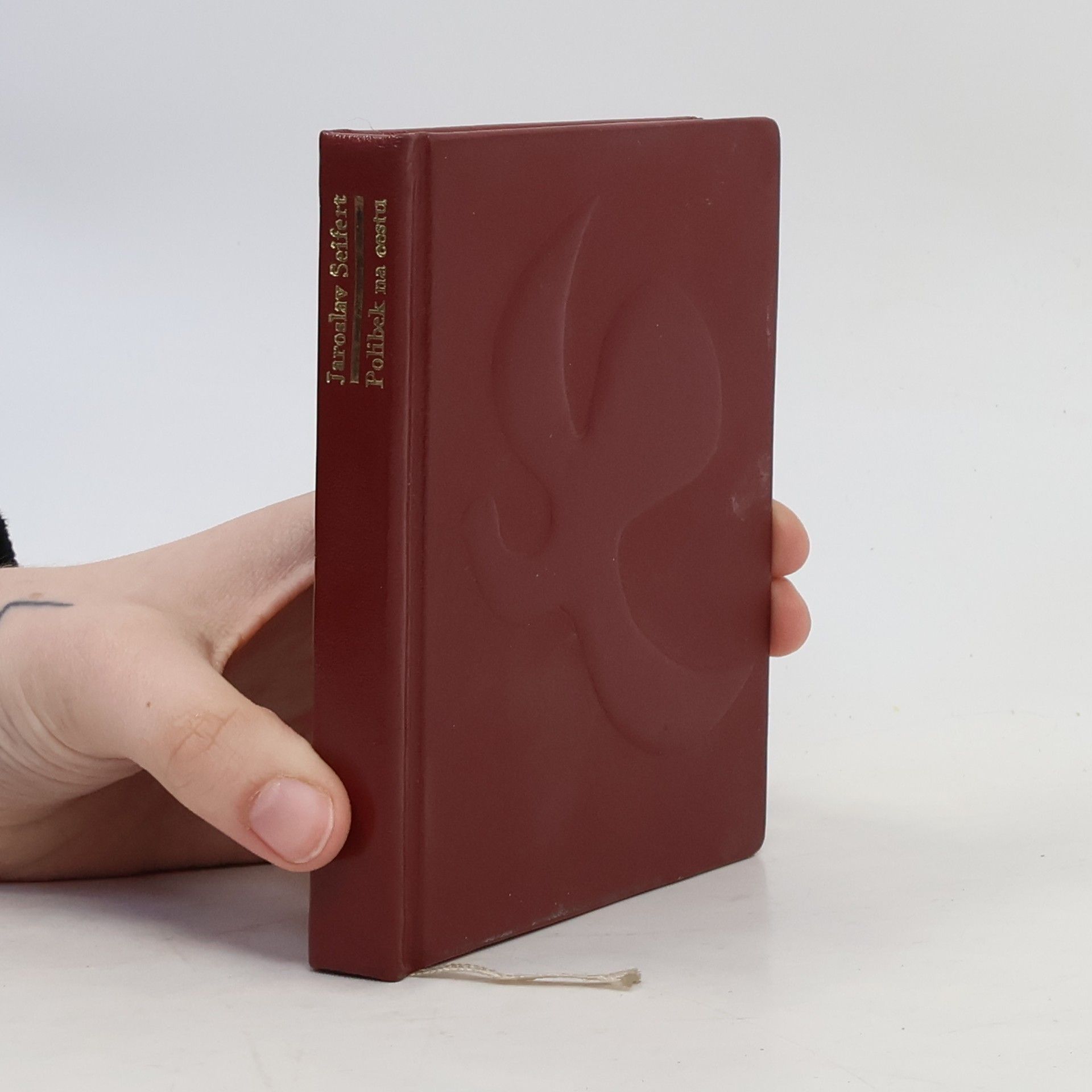 Ota Janeček Polibek na cestu